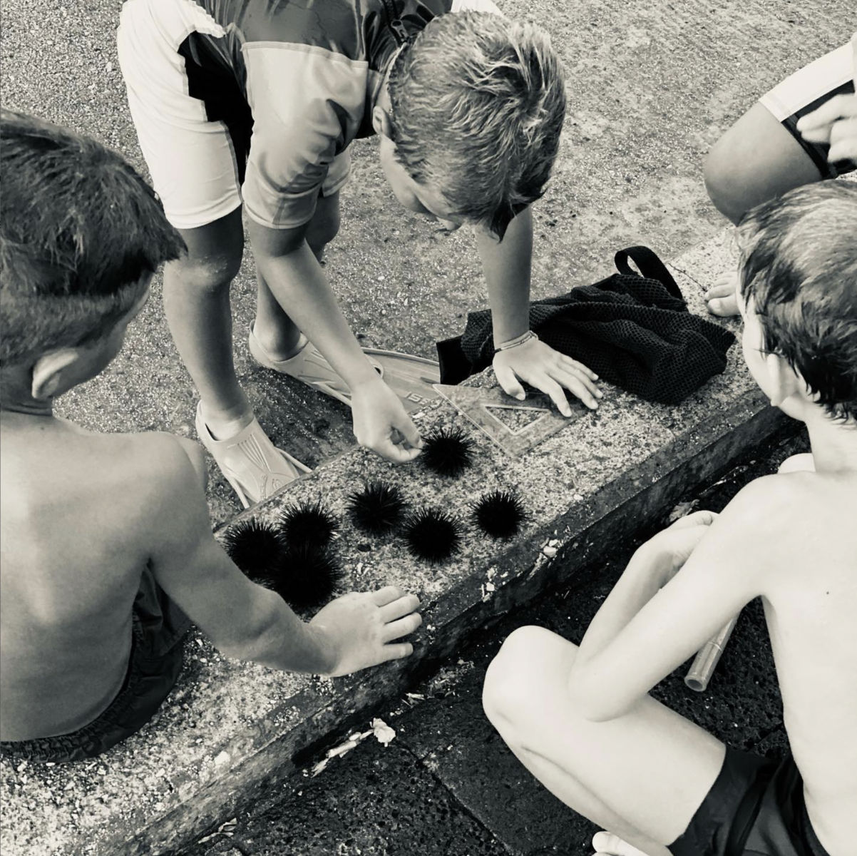 Laëtitia Masson, Ricci di Marre 1 | Série Le Grand Bleu, 2021