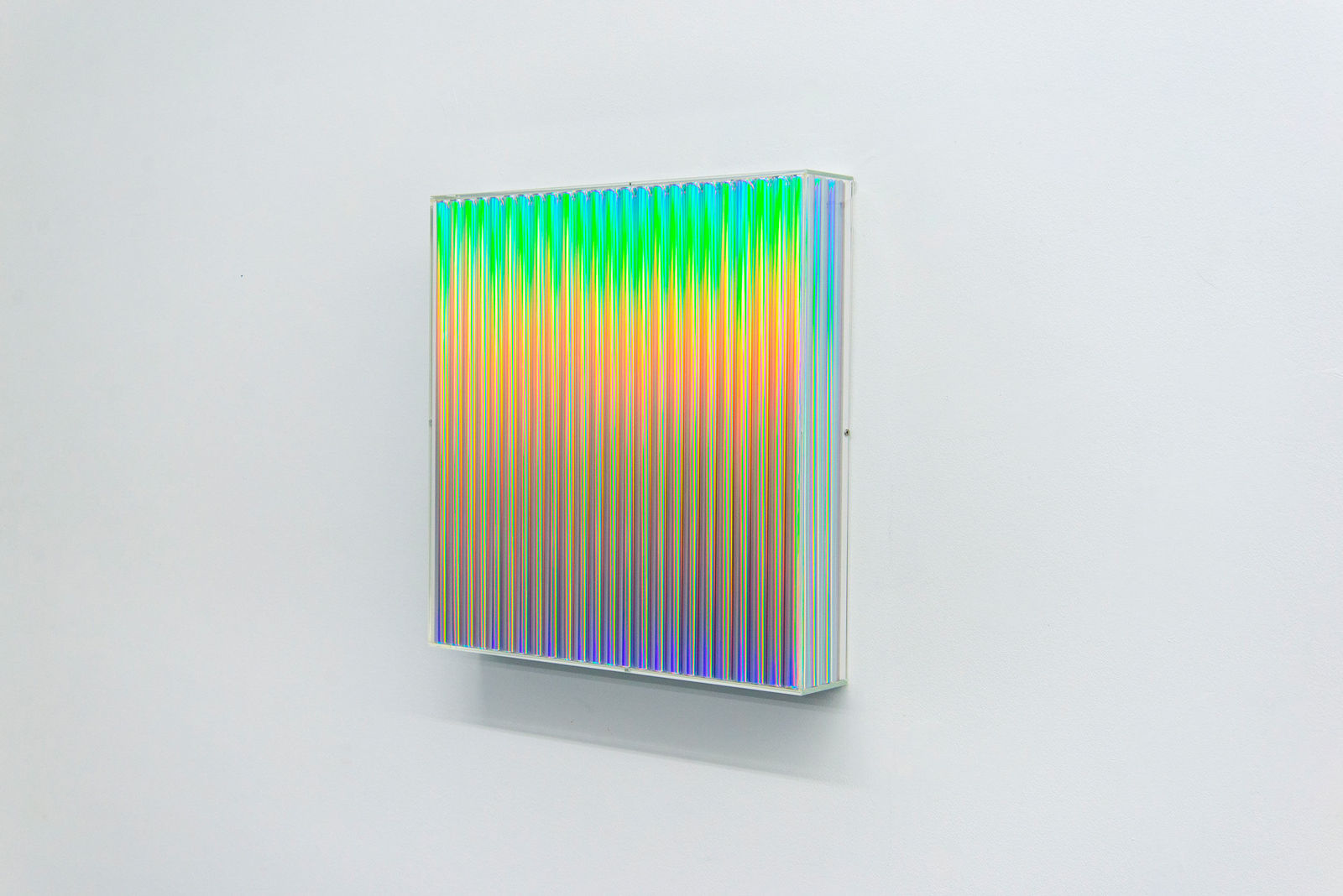 Sali Muller, Oil Slick