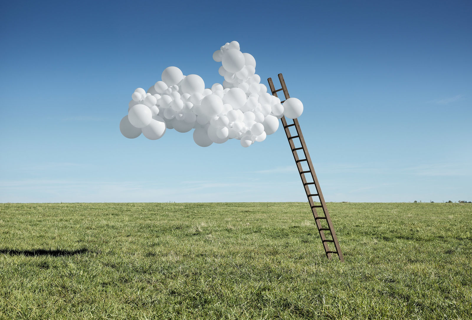 Charles Pétillon, POINT DE VUE, 2018