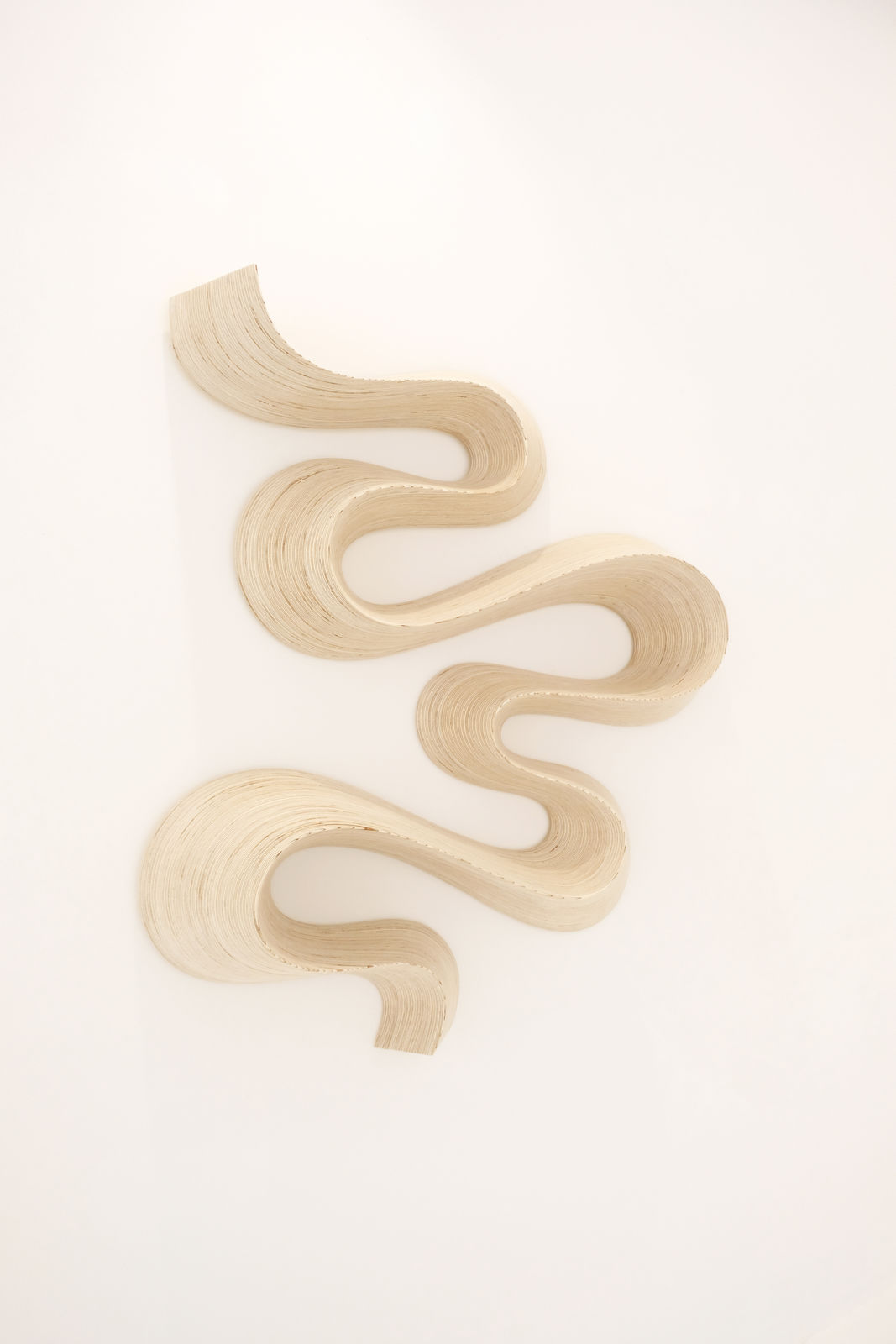 Daniel Mirchev, Hyper Zoom: Story Path, 2024