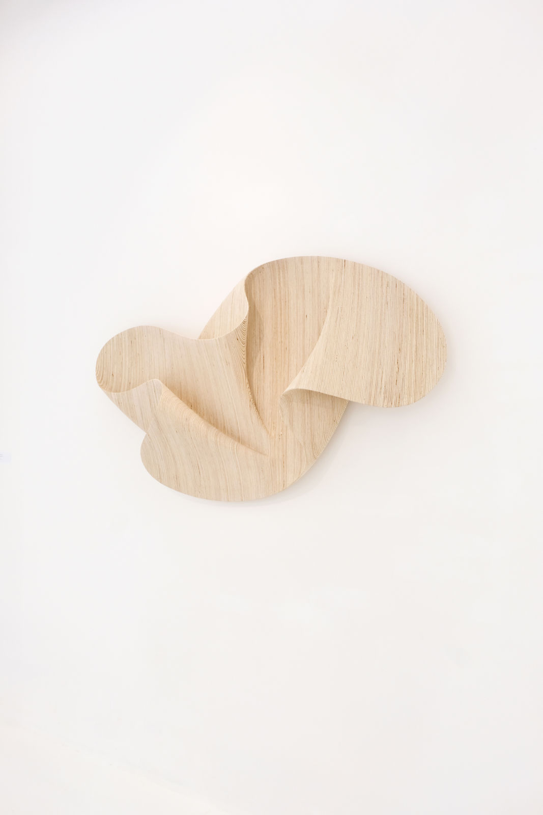 Daniel Mirchev, Cashmere Air 2, 2024