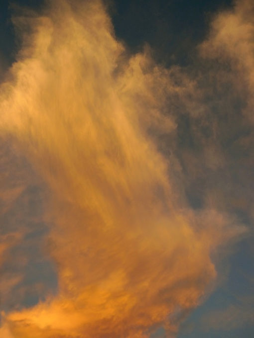 Jitka Hanzlová, CLOUD#1 Untitled 1, 2013from "WATER", 2013