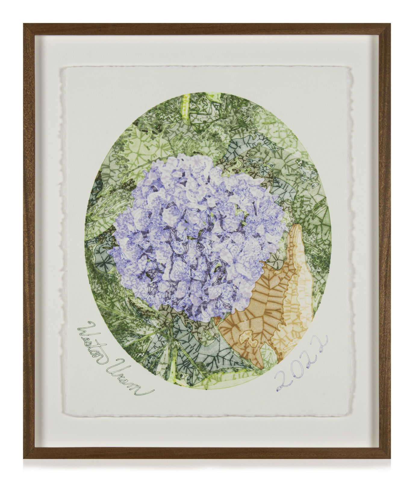 Weston Uram, Large Machine Drawing, Hydrangea, 2022