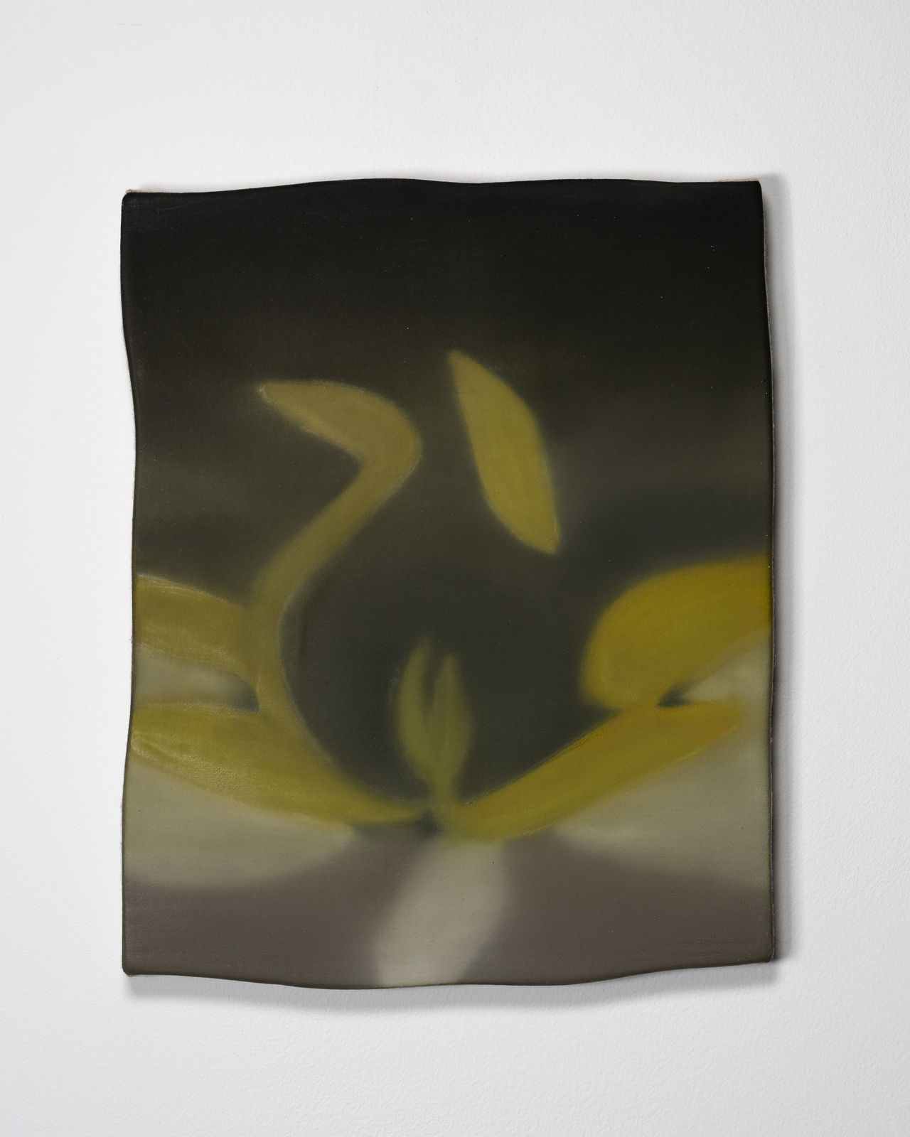 Luz Carabaño, Lumbre, 2022