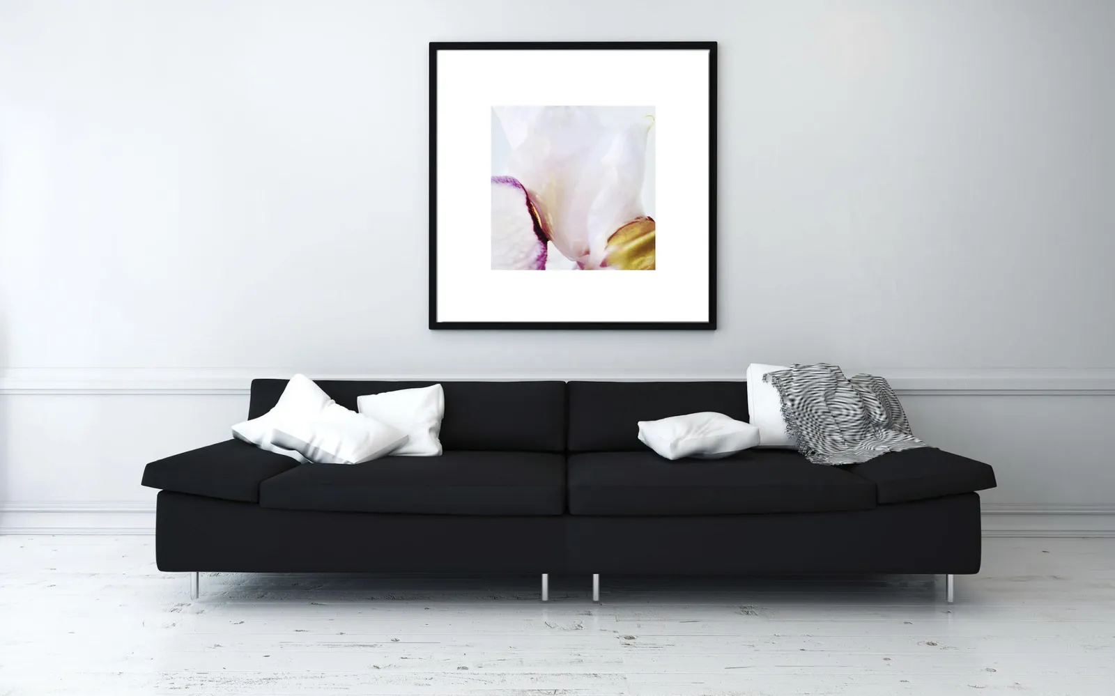 Papilionanthe Miss Joaquim (Vanda Miss Joaquim), 2018