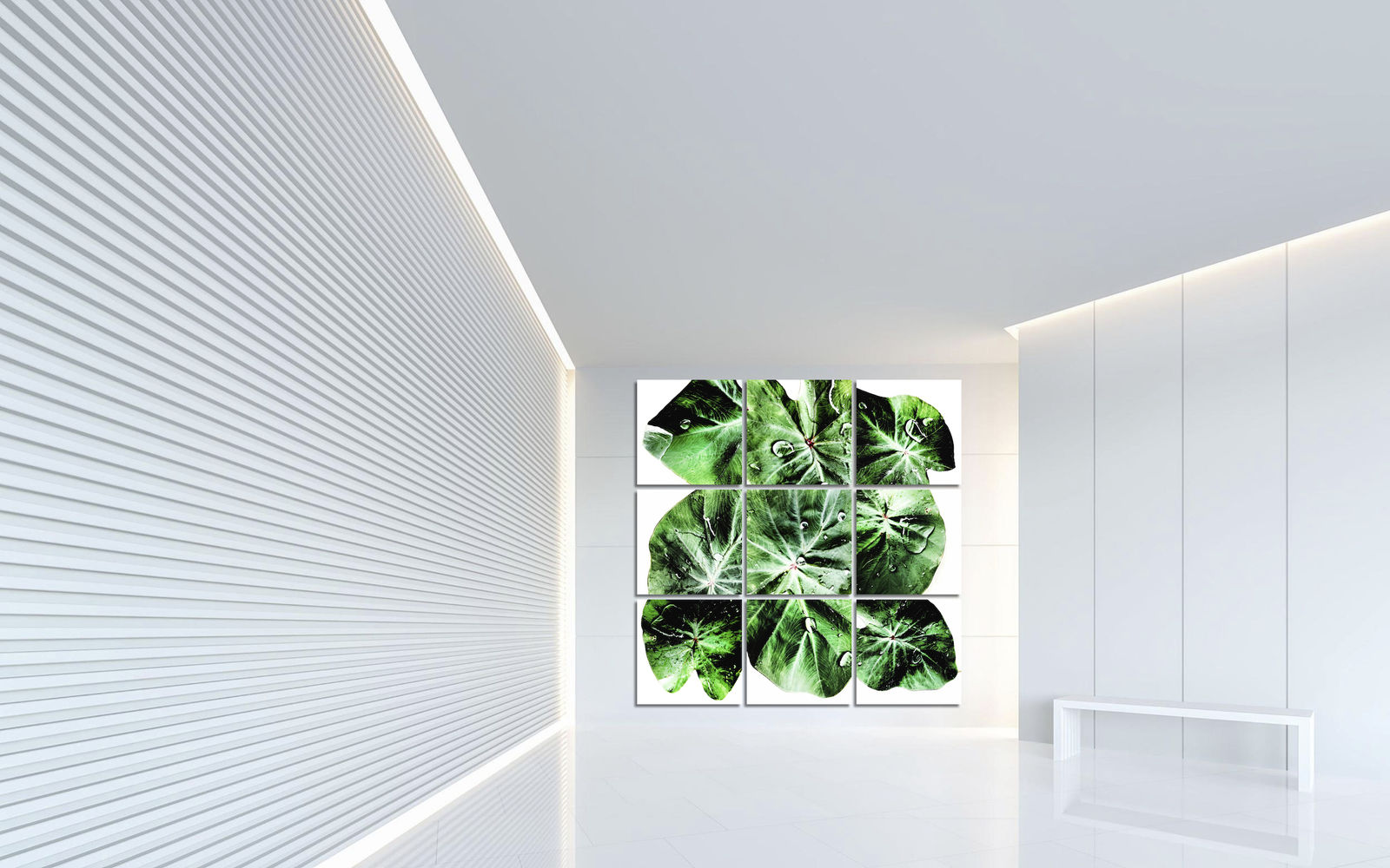 00058 Colocasia esculenta (Taro), 2020