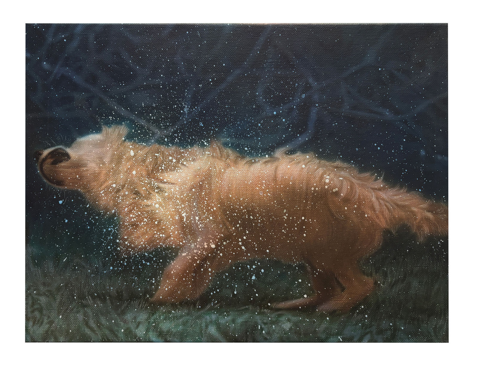 Michael Gao, Rotary, 2026