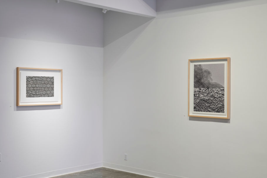 Joseph Cohen, Proposition 491 (Where do I stand?)