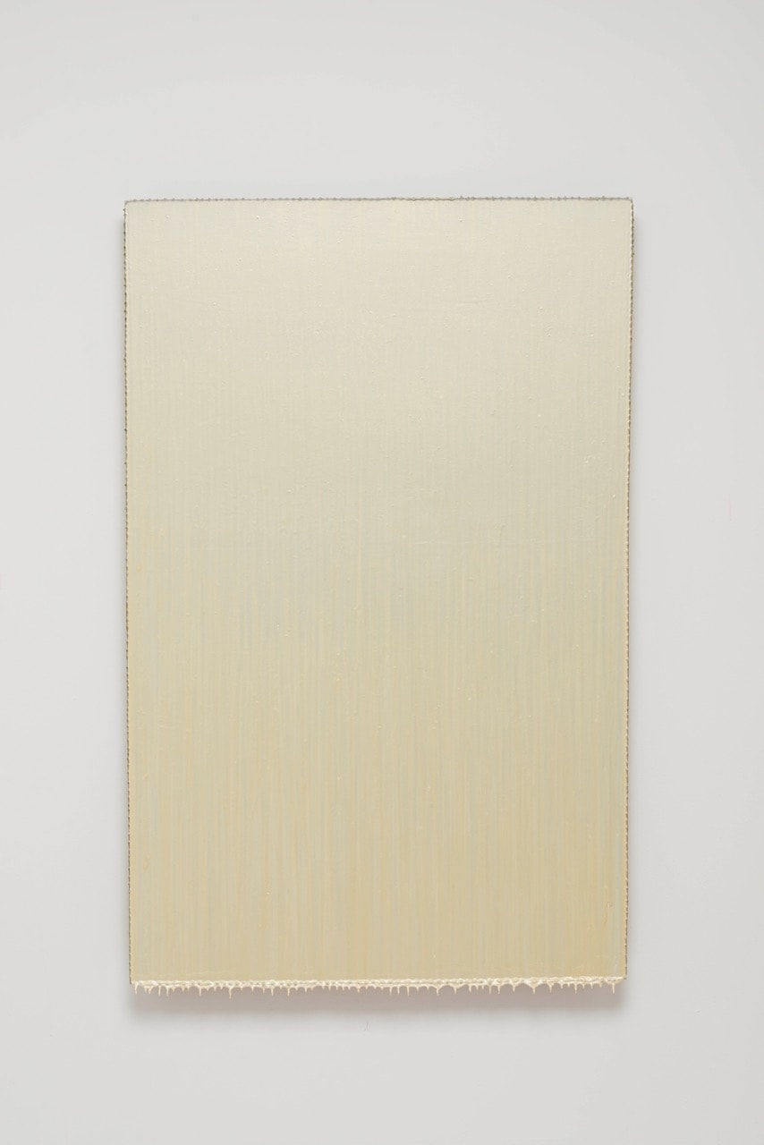 Joseph Cohen, Proposition 295