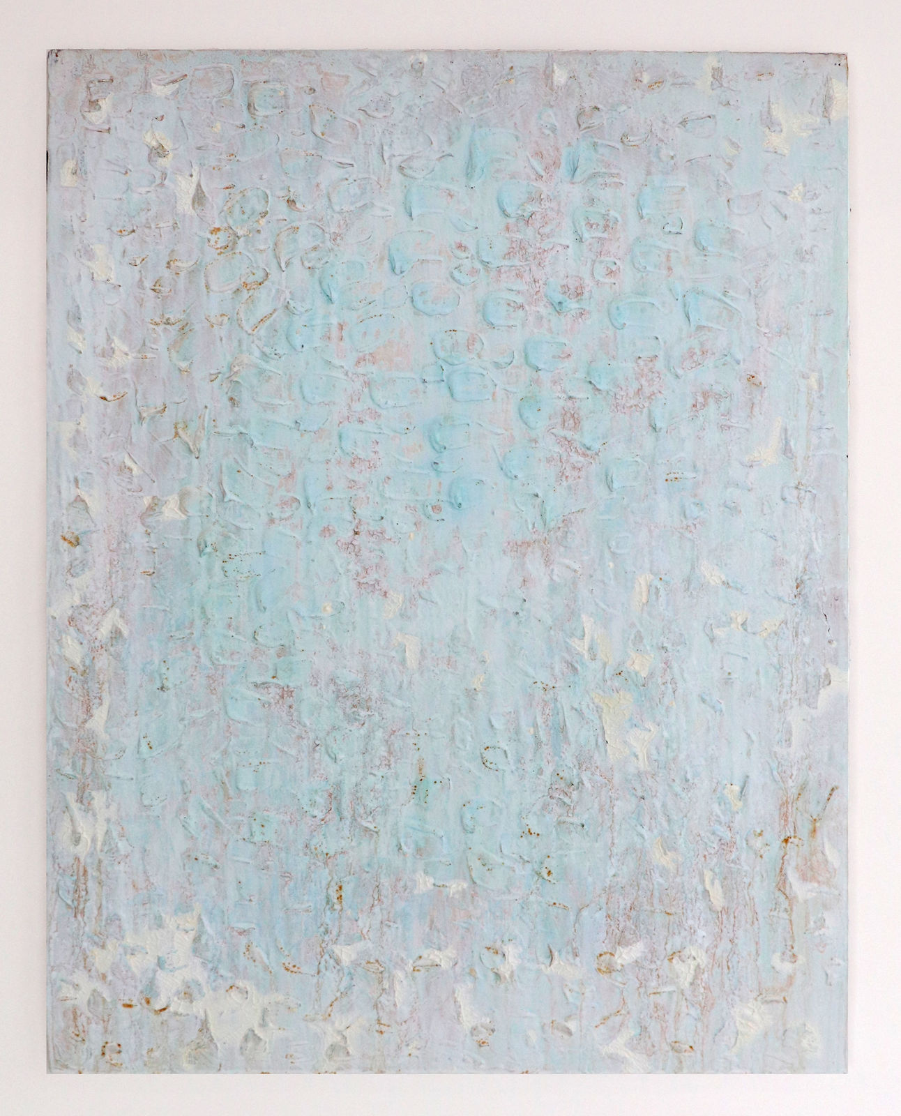 Joseph Cohen, Proposition 531