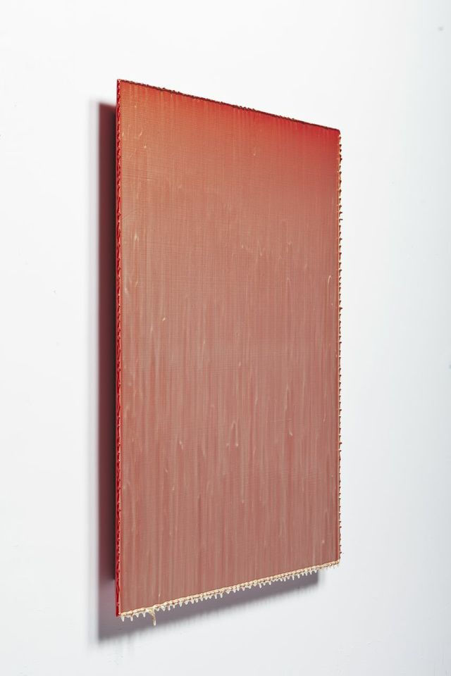 Joseph Cohen, Proposition 342