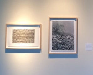 Joseph Cohen, Proposition 491 (Where do I stand?)