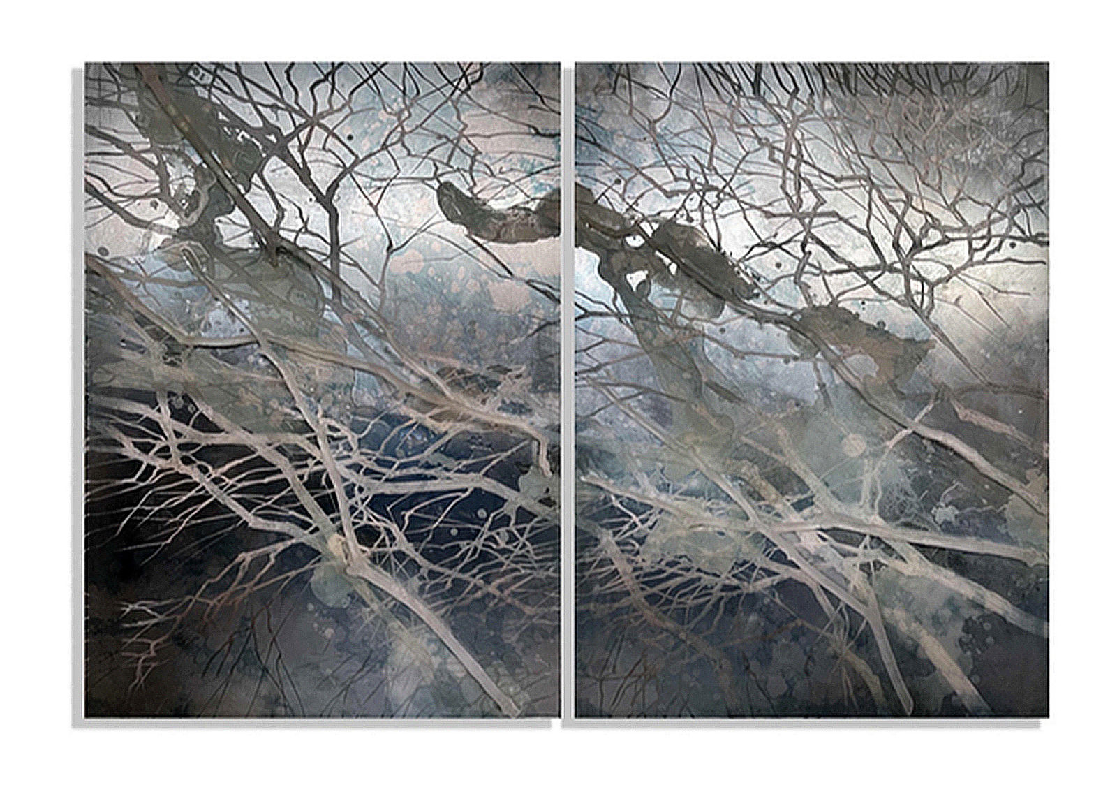 CLAUDIA MEYER, RAMUSIA I & II