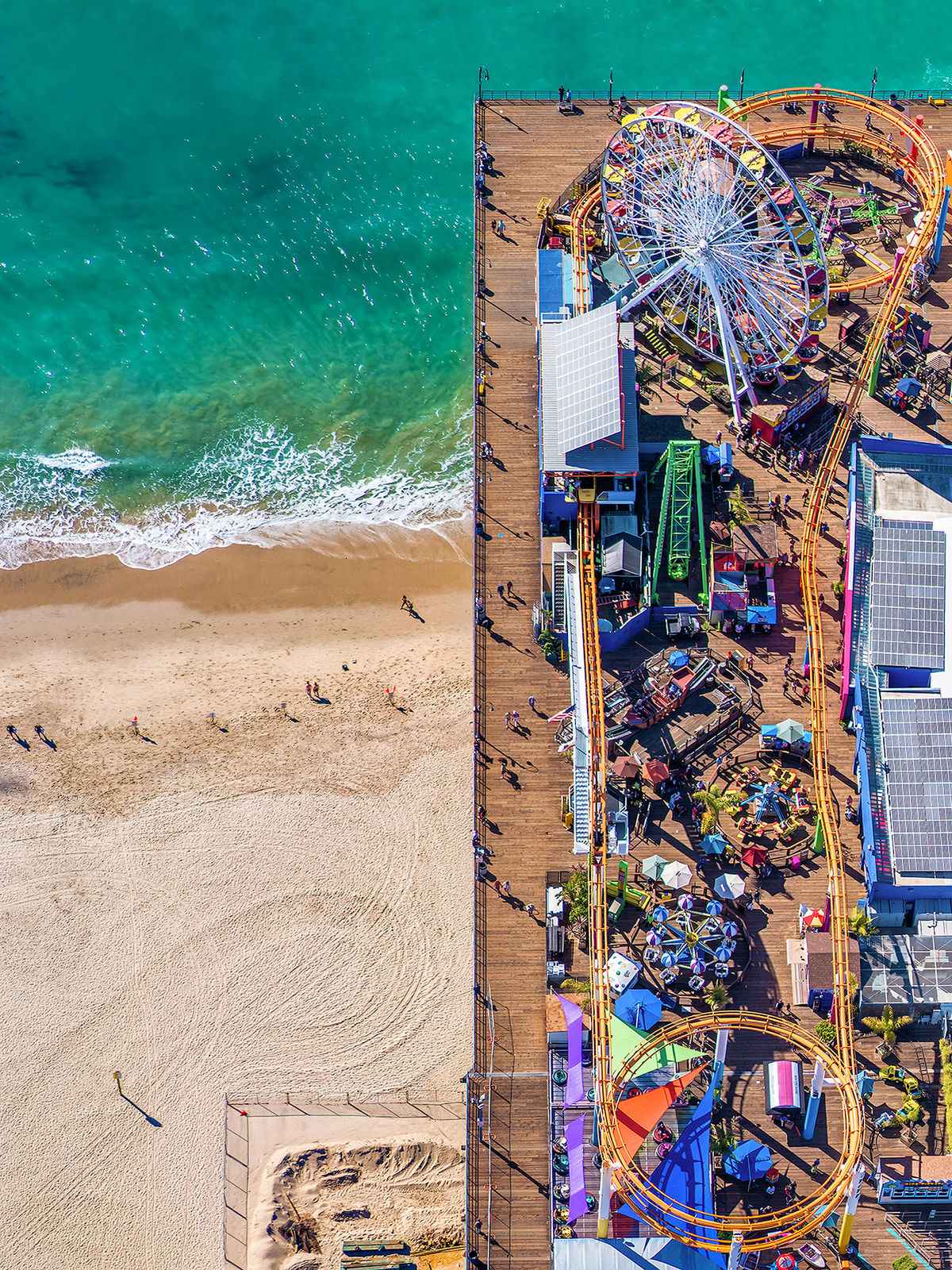 DONN DELSON, Surf & Turf