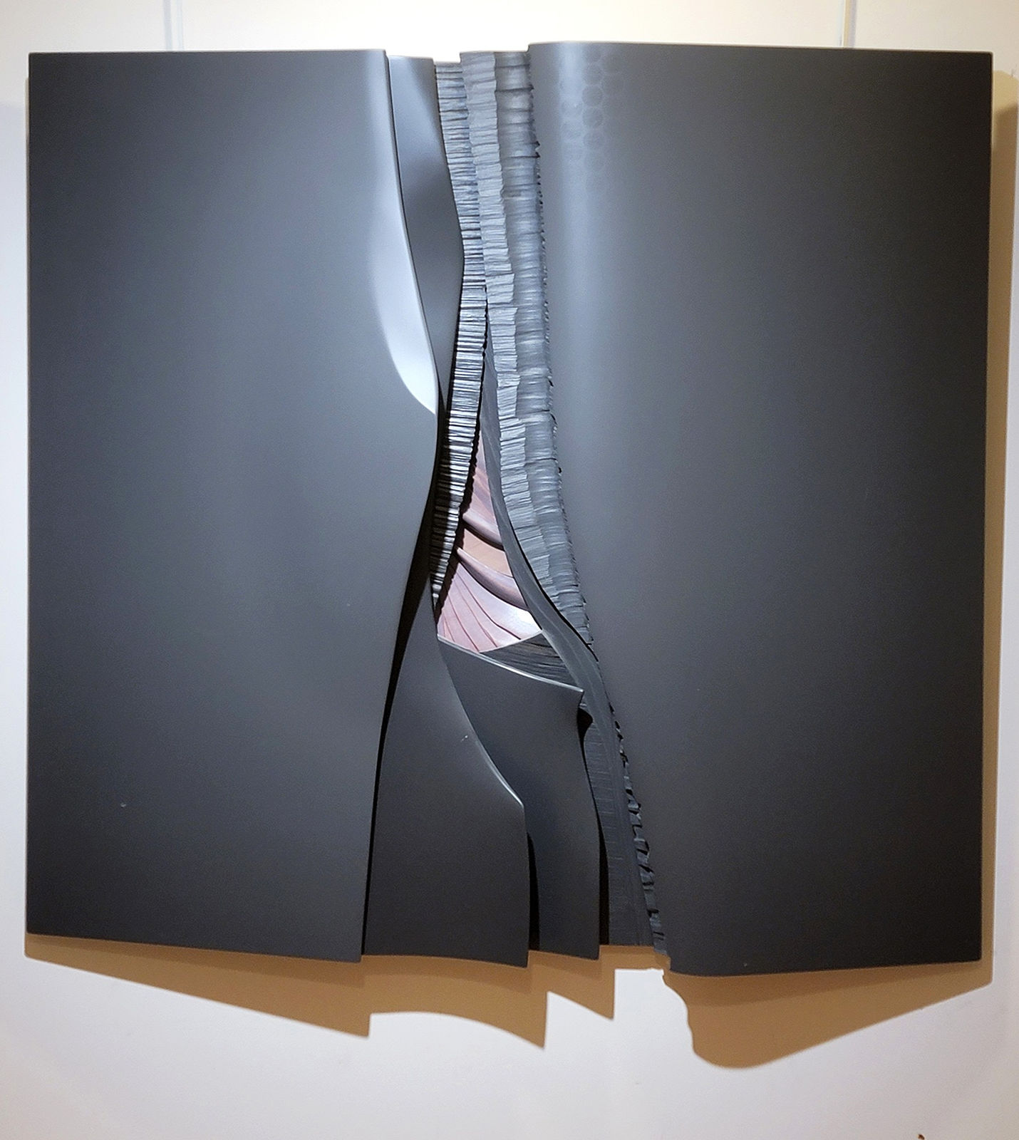 MICHEL DELAERE, AU PLUS DOUX DES OMBRES