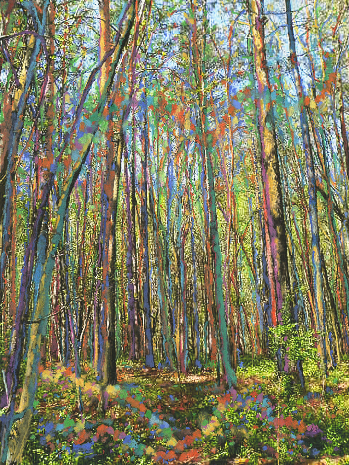 NANCY MOOSLIN, Blue Ridge Forest, Fiddle Music, Forky Deer