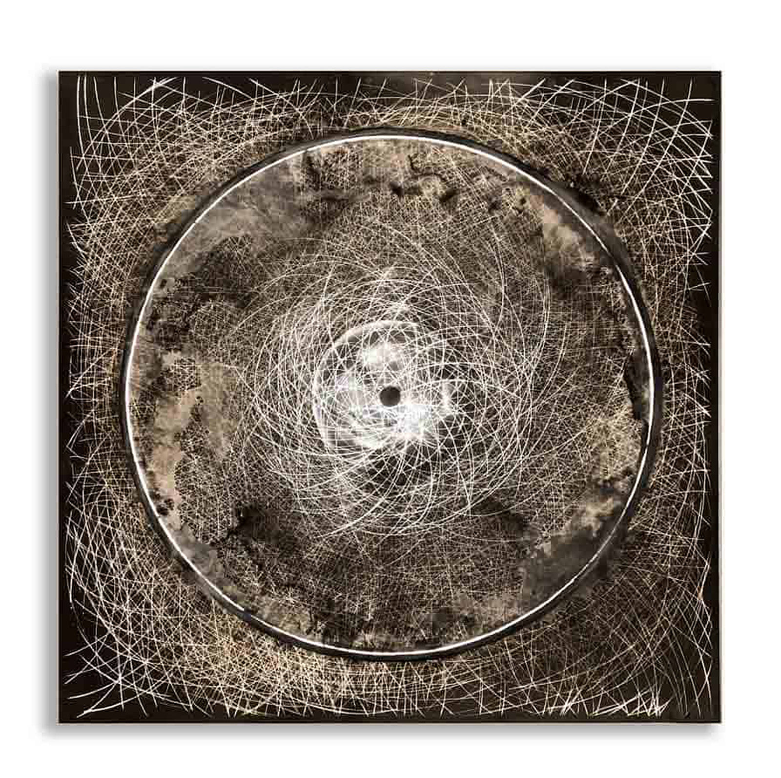 CLAUDIA MEYER, CIRCULUM