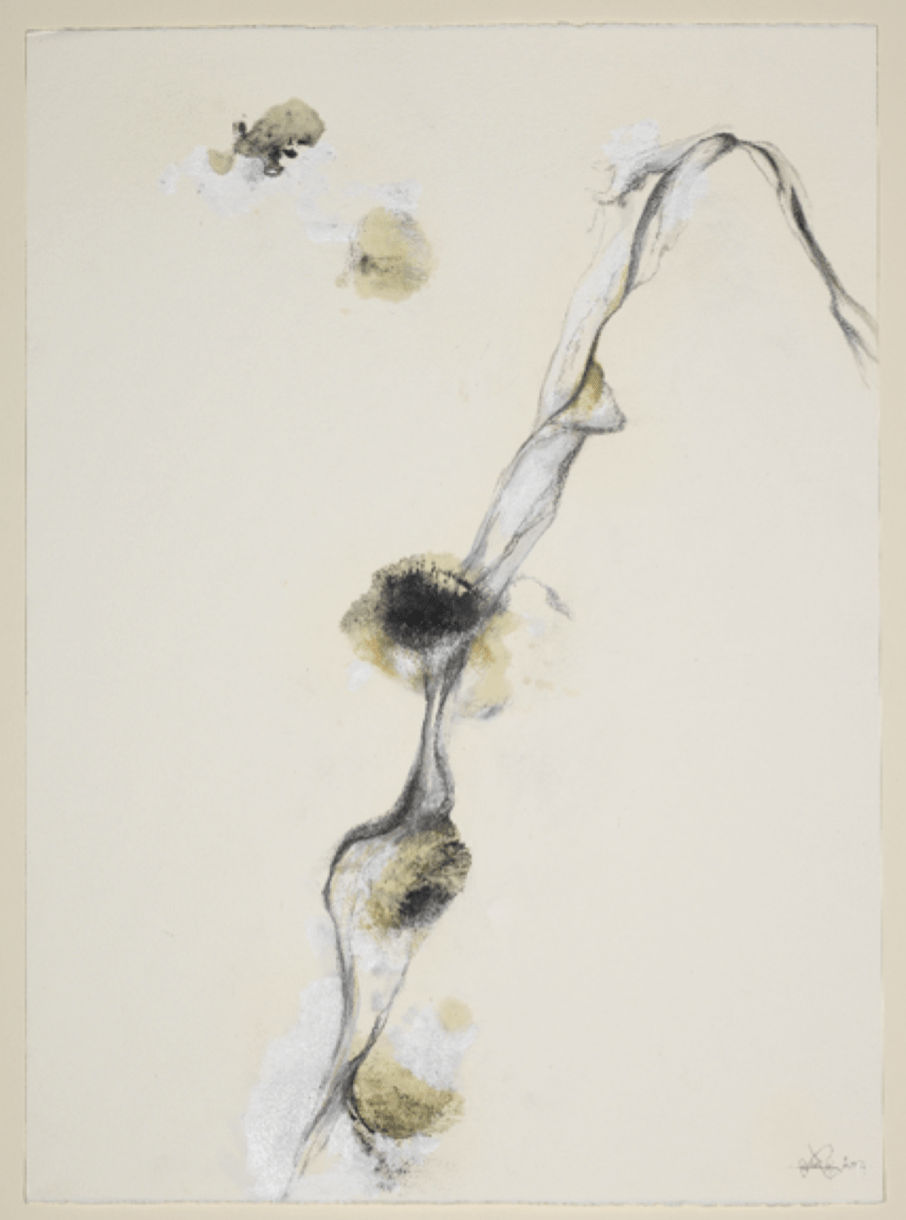 Lamia Joreige, The River 11, 2017