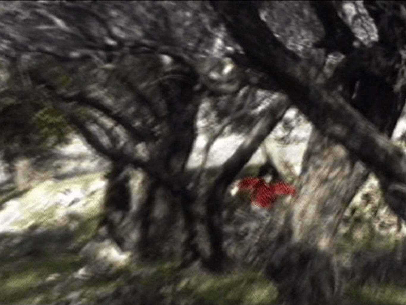 Rania Stephan, Invisible Images To The Naked Eye 10, 2016