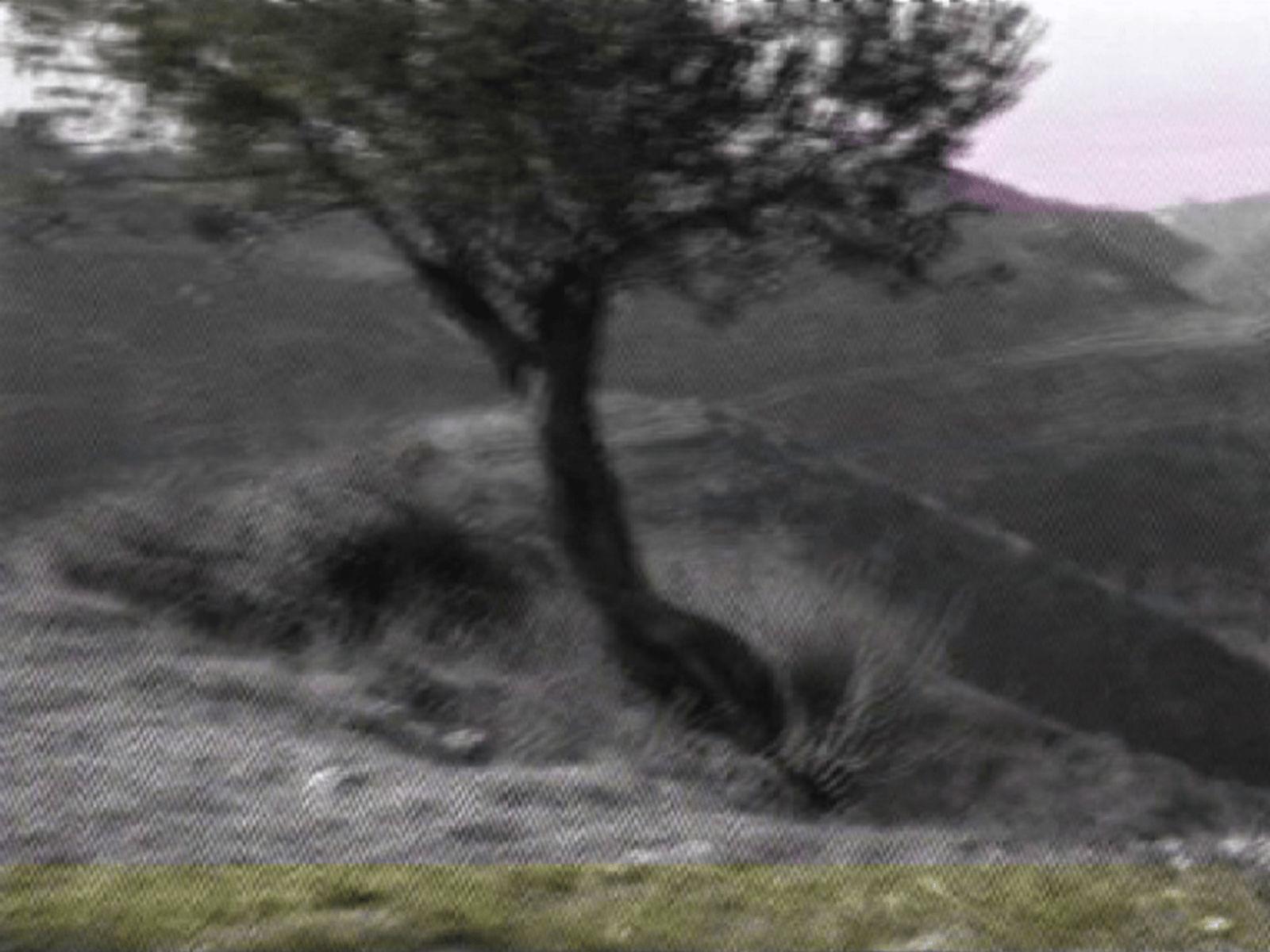 Rania Stephan, Invisible Images to the Naked Eye 11, 2016