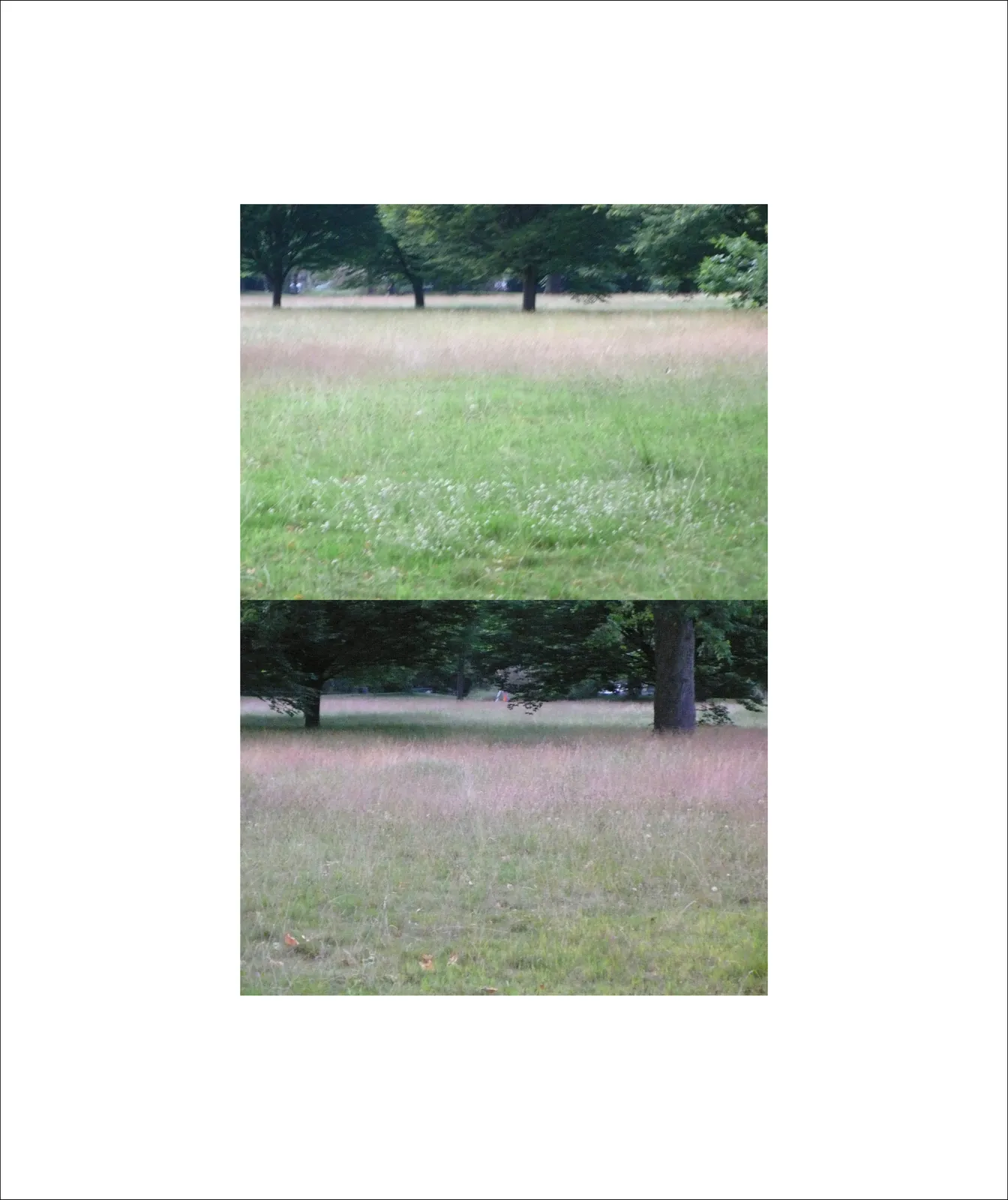 Rania Stephan, 64 Dusks #03, 2016