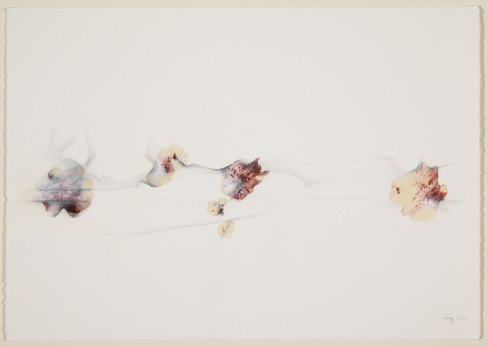 Lamia Joreige, Coastline 3 , 2017