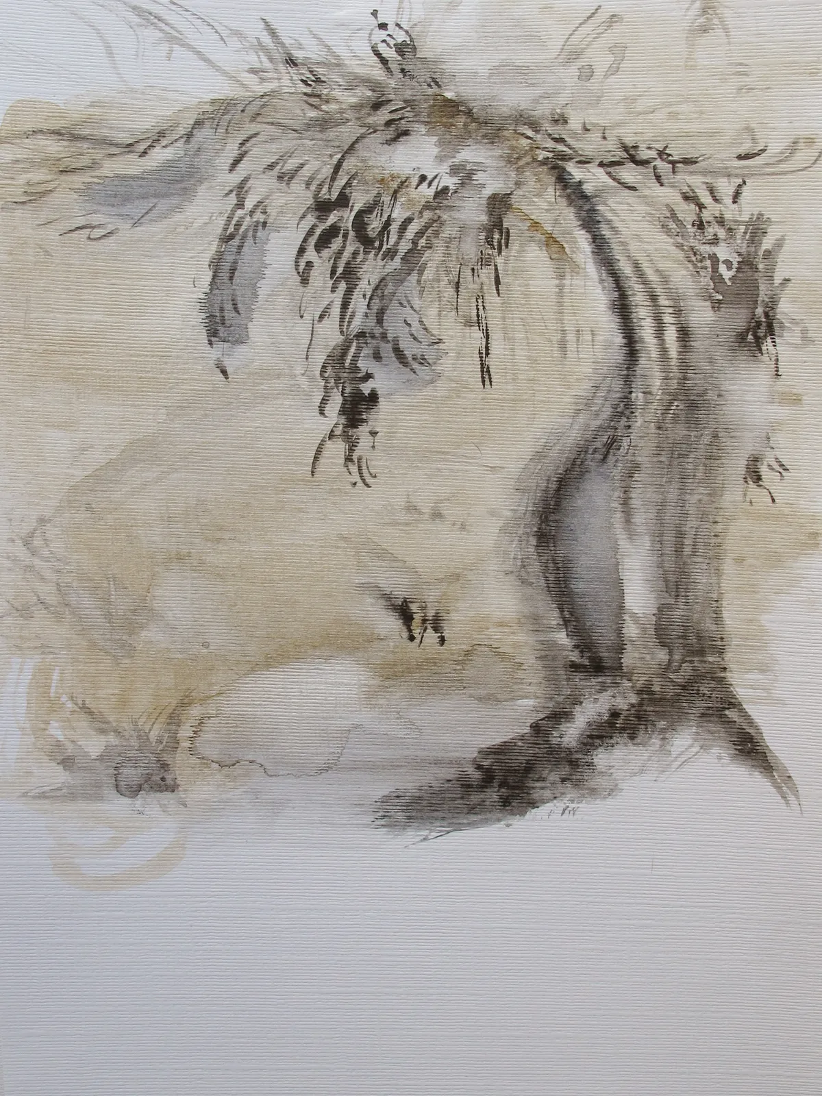 Talar Aghbashian, Book 13- Untitled -, 2020