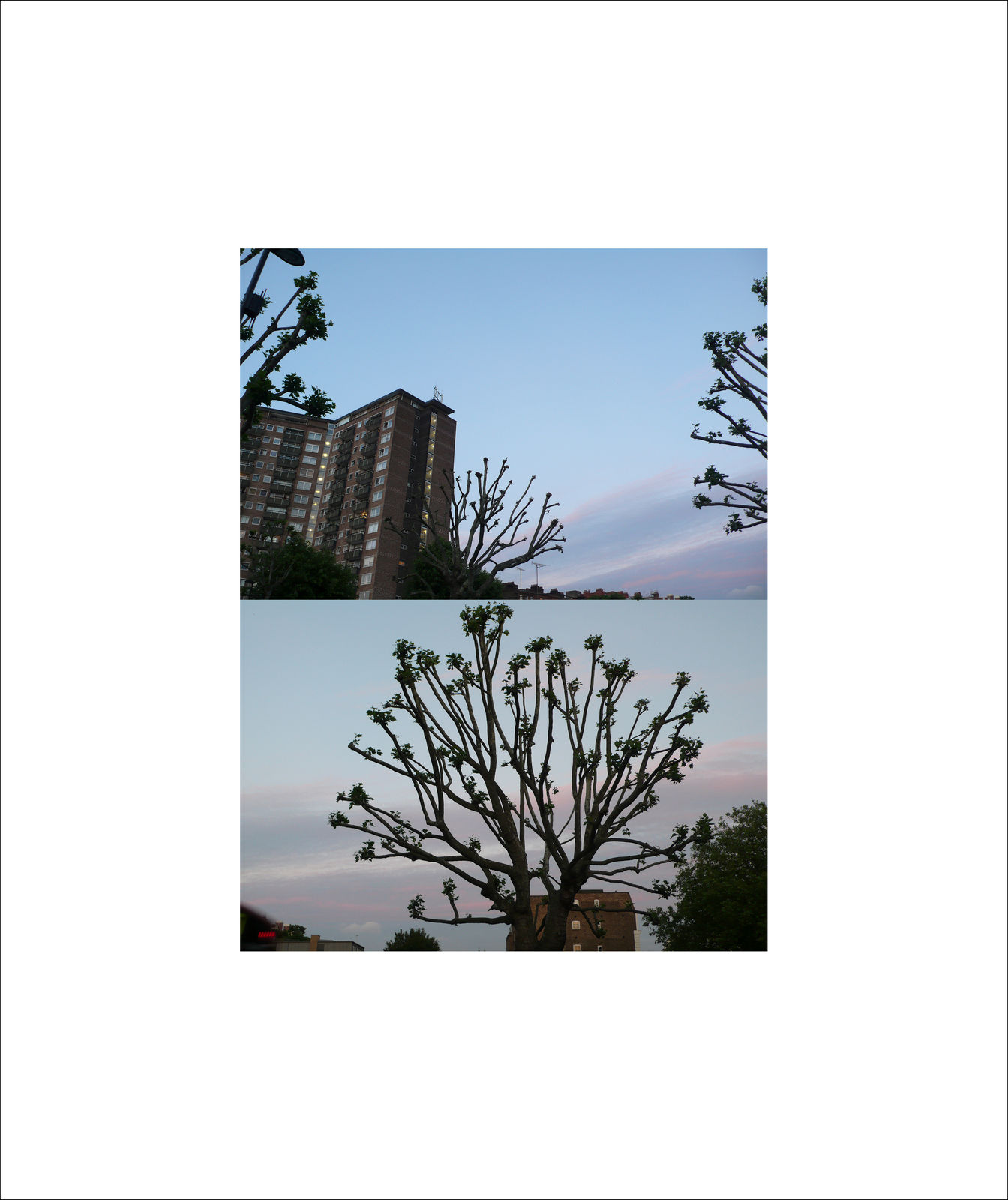 Rania Stephan, 64 Dusks #12, 2016