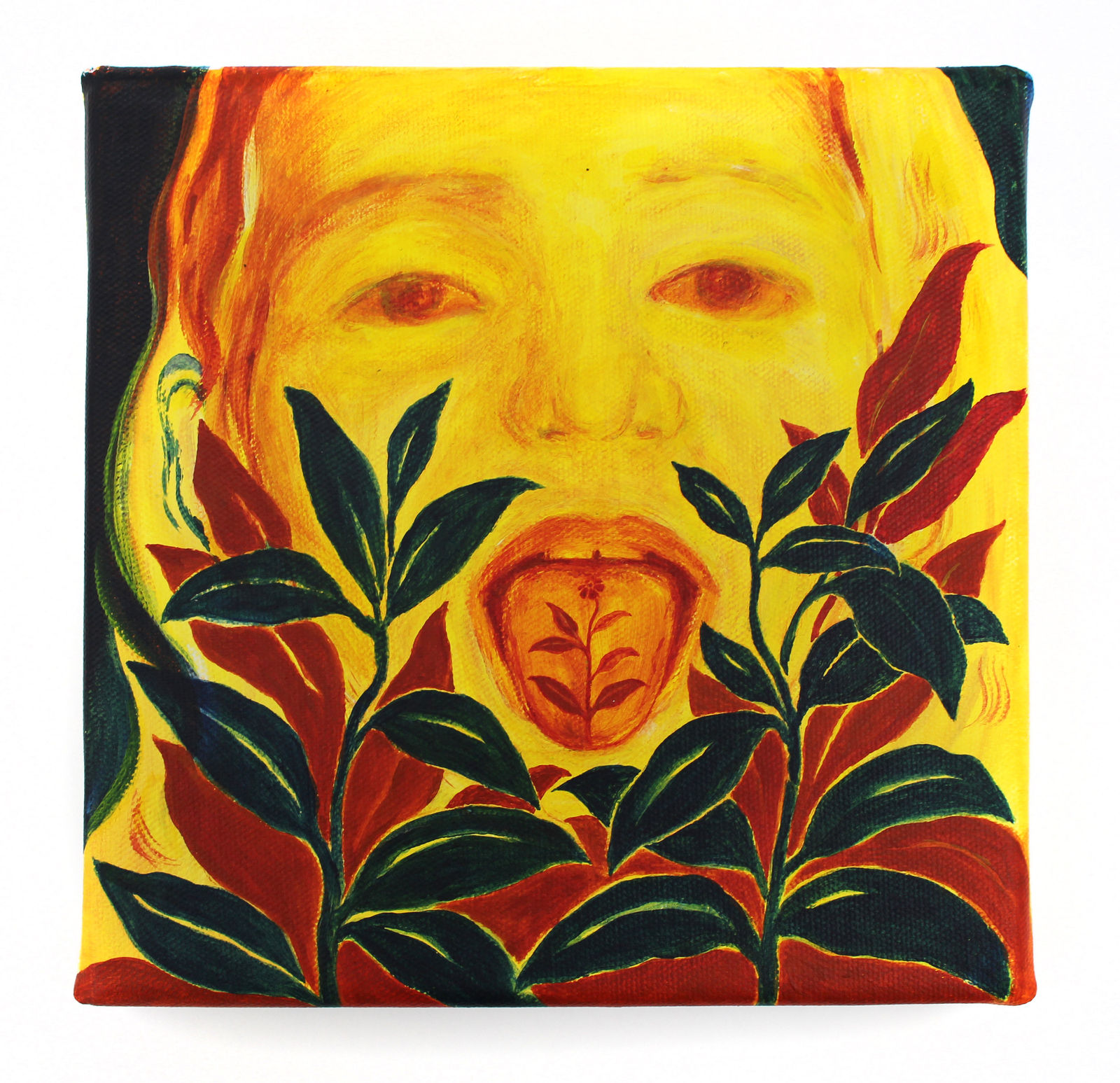 Odonchimeg Davaadorj, Passeport, 2021