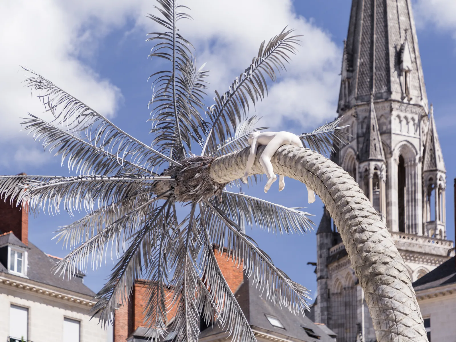 Laurent Pernot, The Land where the trees dream, 2017