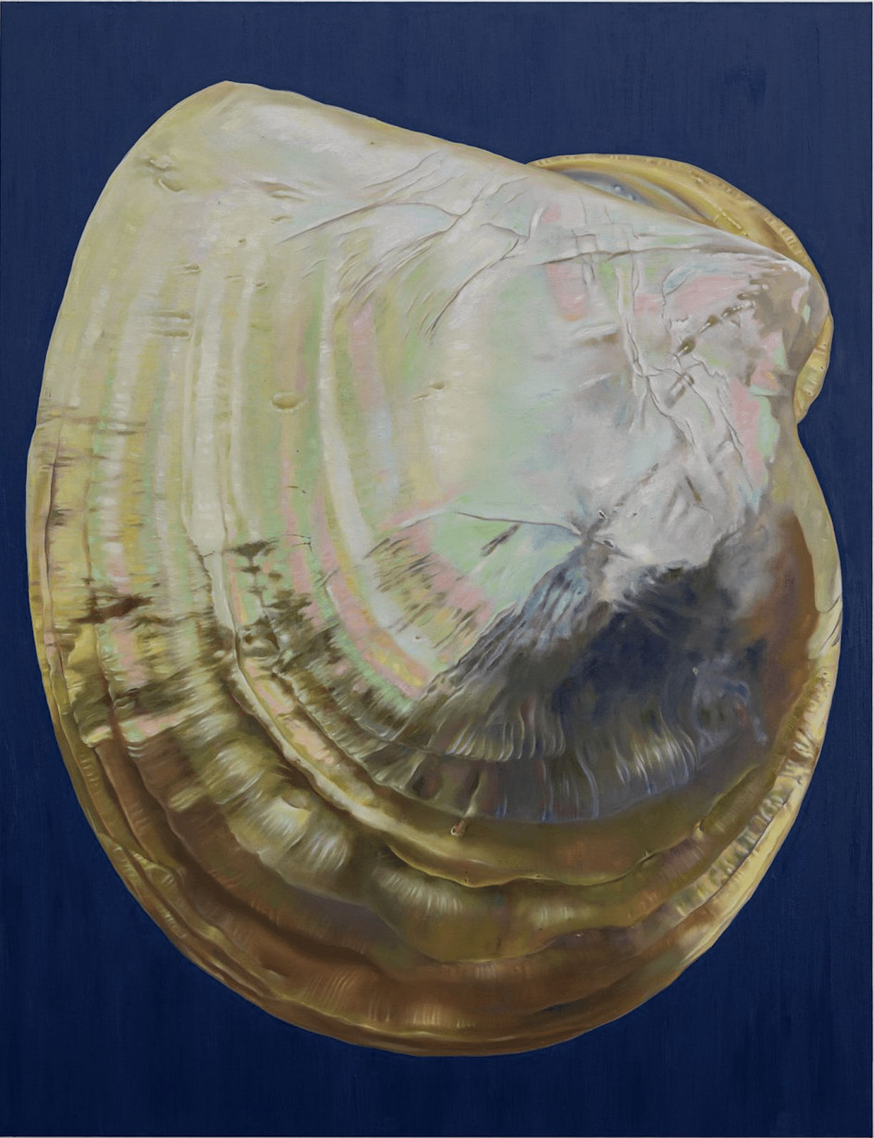 Fawn Rogers, Surbrace, 2021