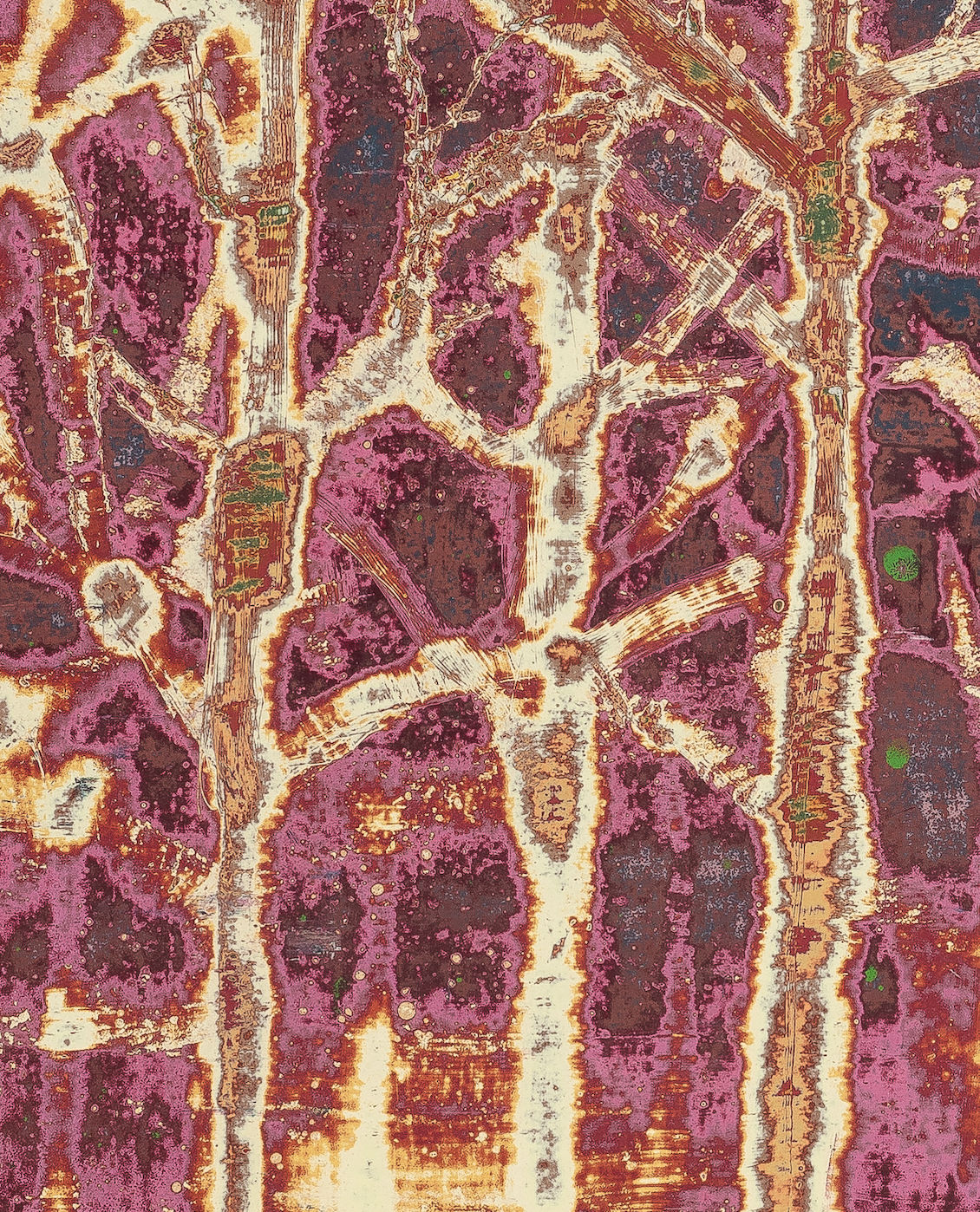 Dennis Miranda Zamorano, El: Imposible… nadie intentó incendiar una ciudad, o si? (Portrait of what was once my home), 2024