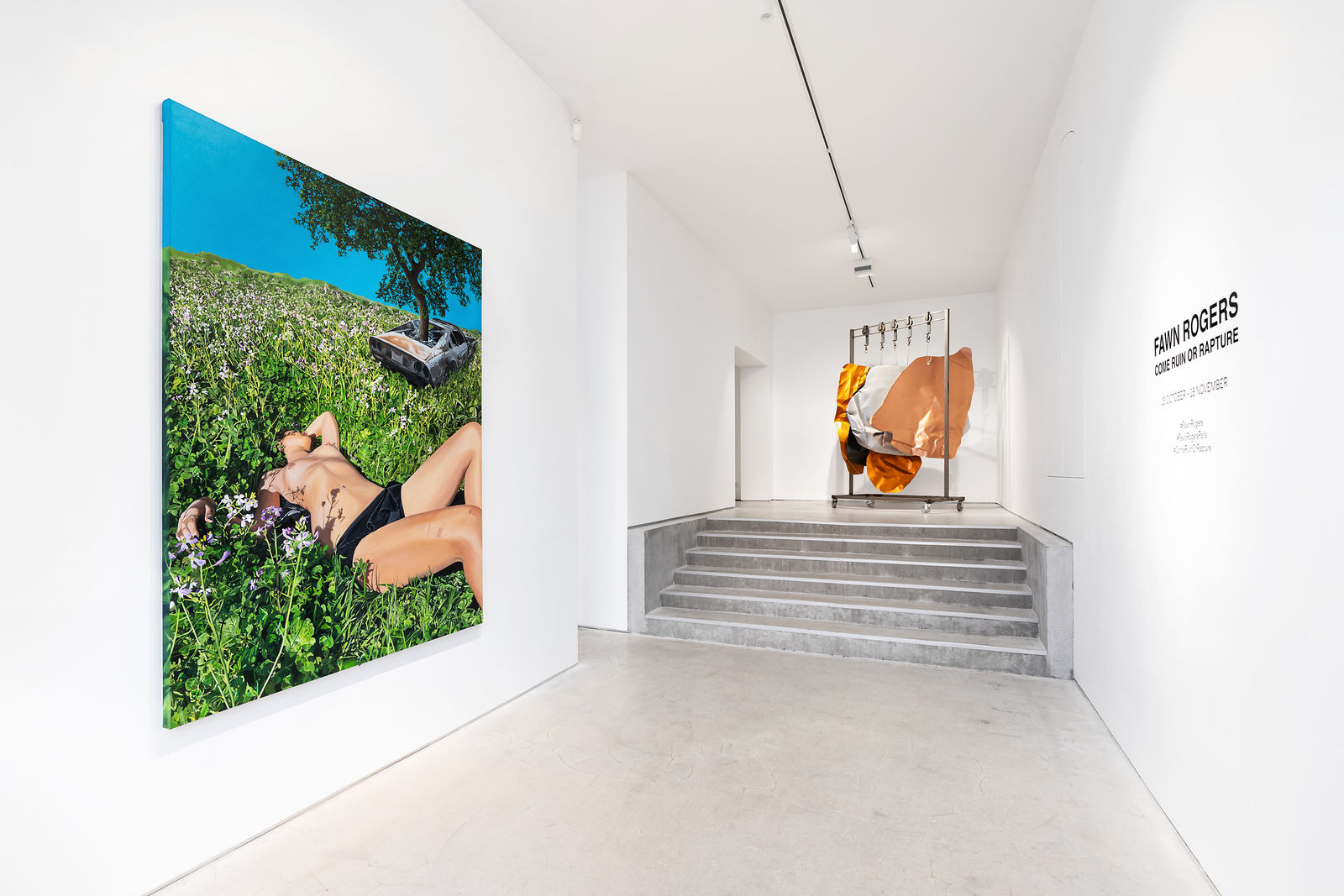 Fawn Rogers, Car Meat (Akhal Teke), 2023