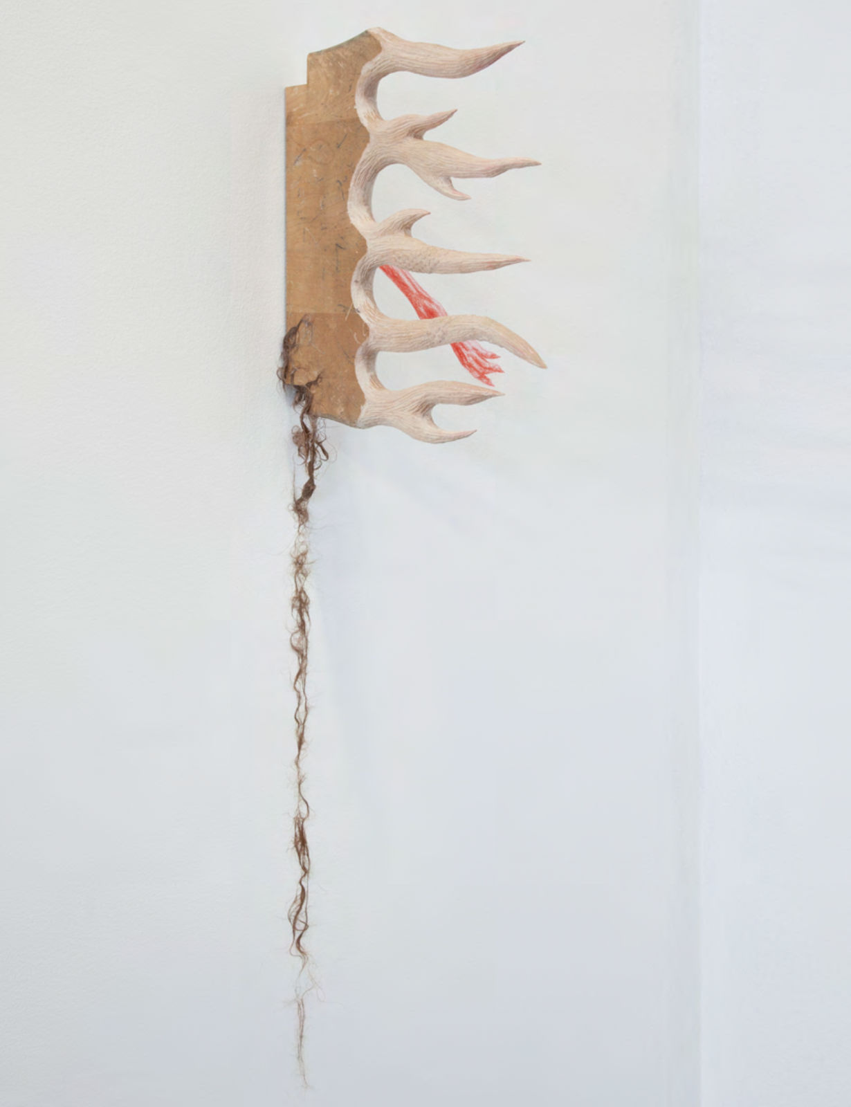 Catalina Ouyang, translation (...under the, under the porch of the house? At the last moment... It... yelps. As if it’s seen something real.), 2020