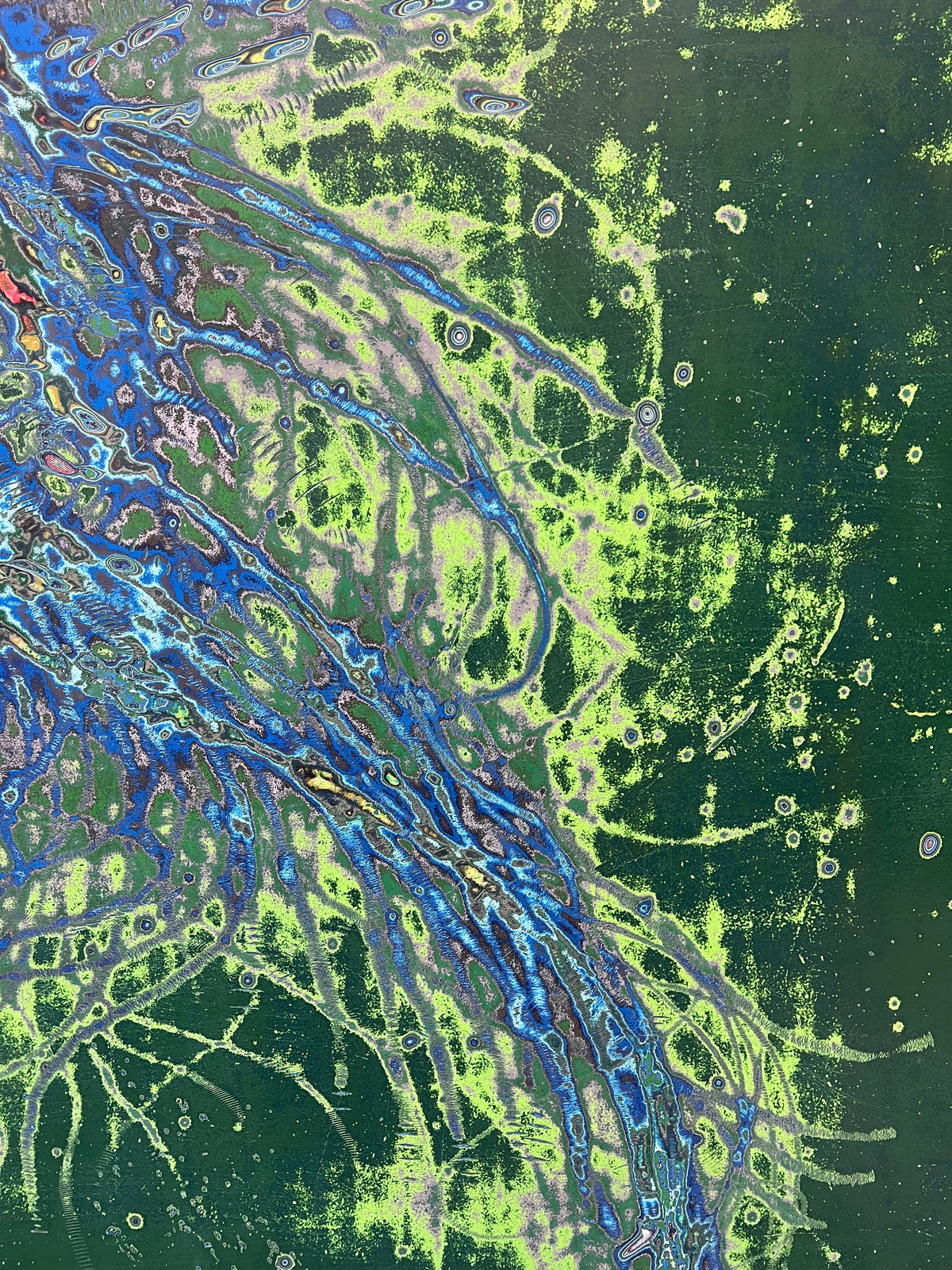 Dennis Miranda Zamorano, Cómo una criatura marina, 2024