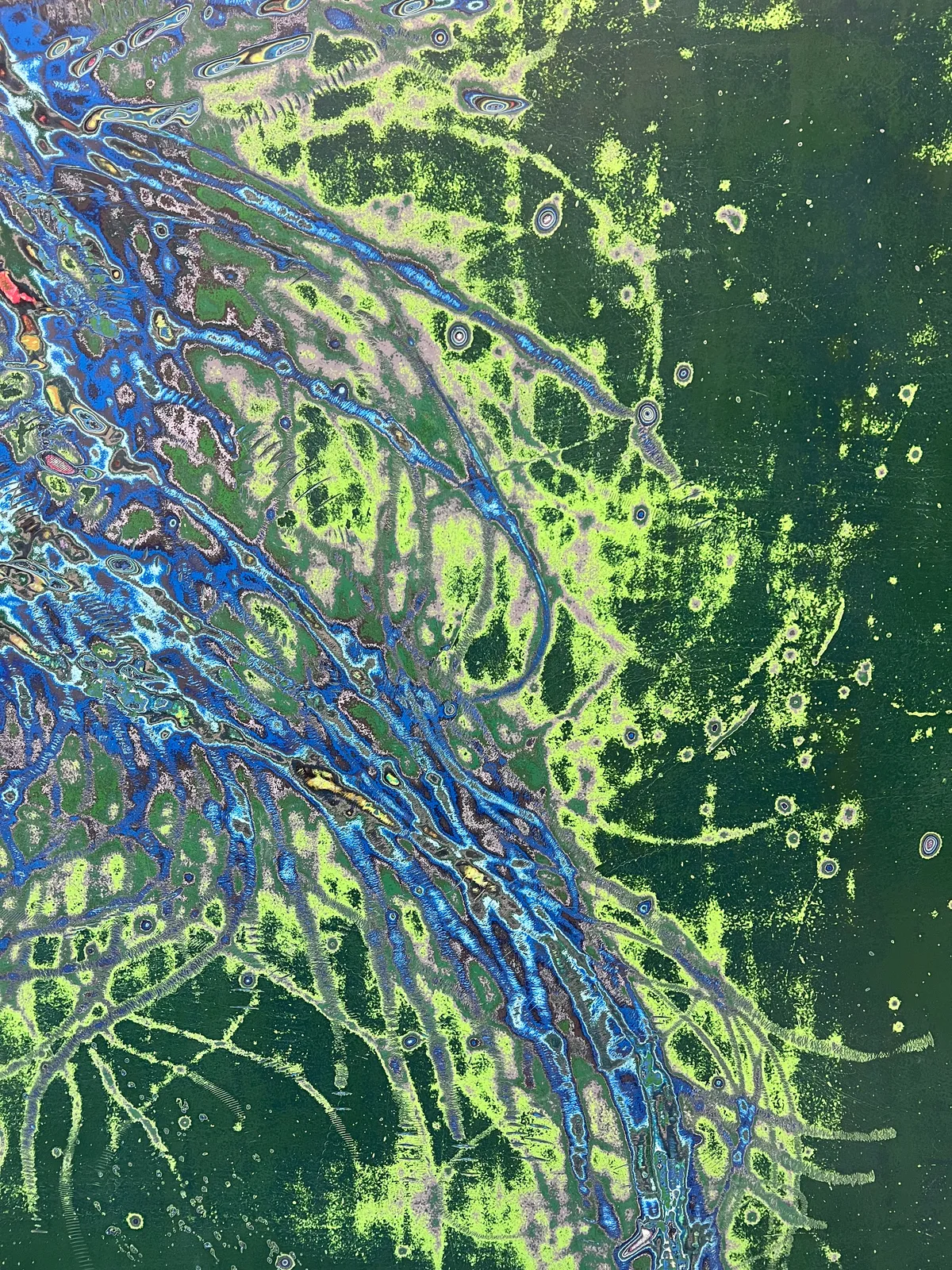 Dennis Miranda Zamorano, Cómo una criatura marina, 2024