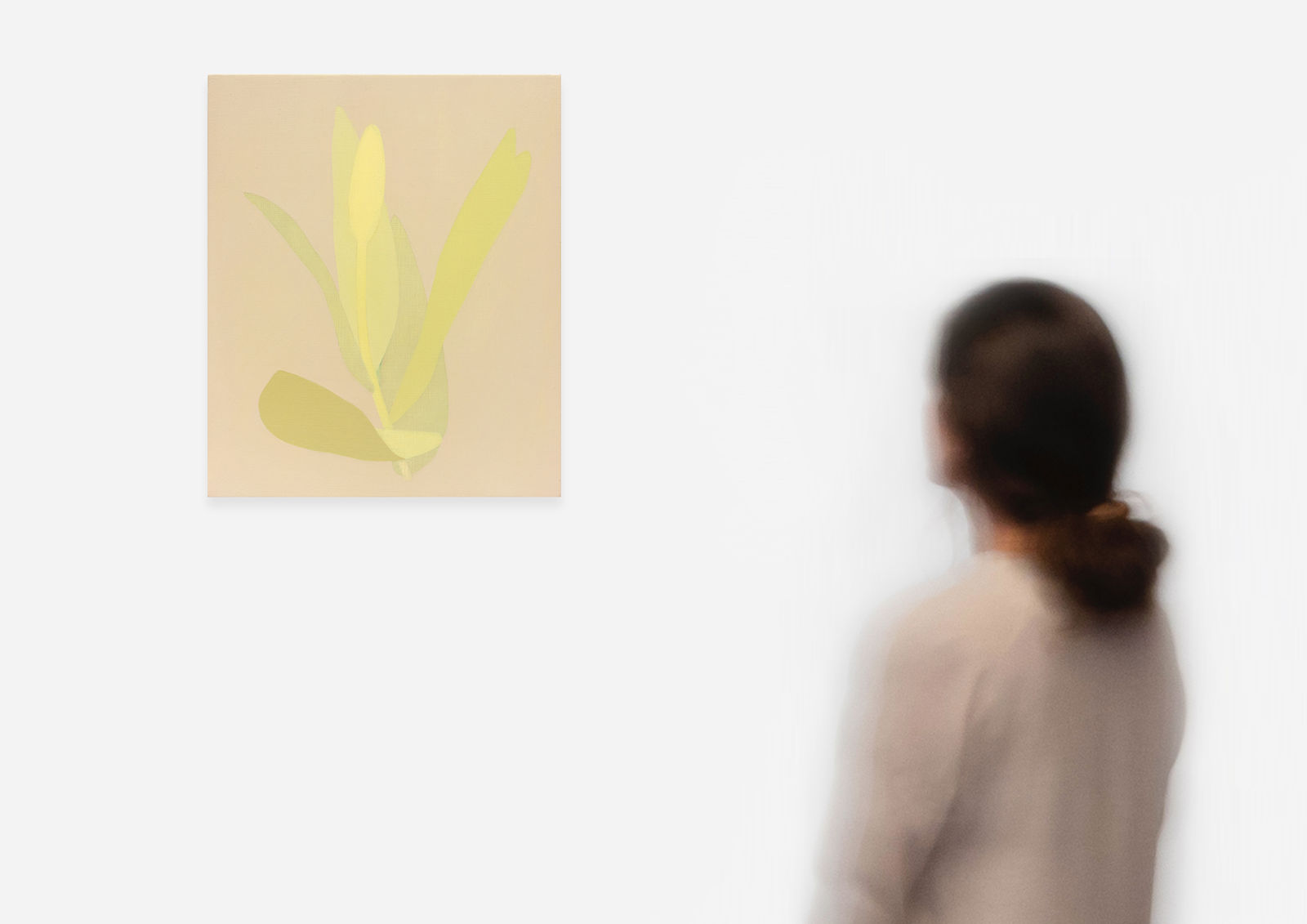 Manuel Stehli, Untitled (Tulip 3), 2023