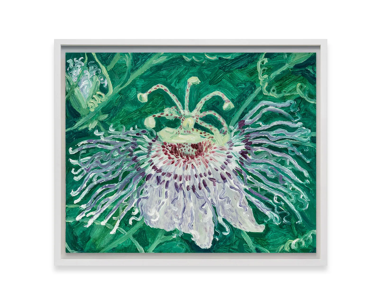 Claudia Keep, Passion Flower, 2024