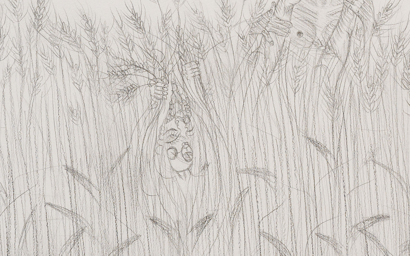 Oh de Laval, In the field, 2023