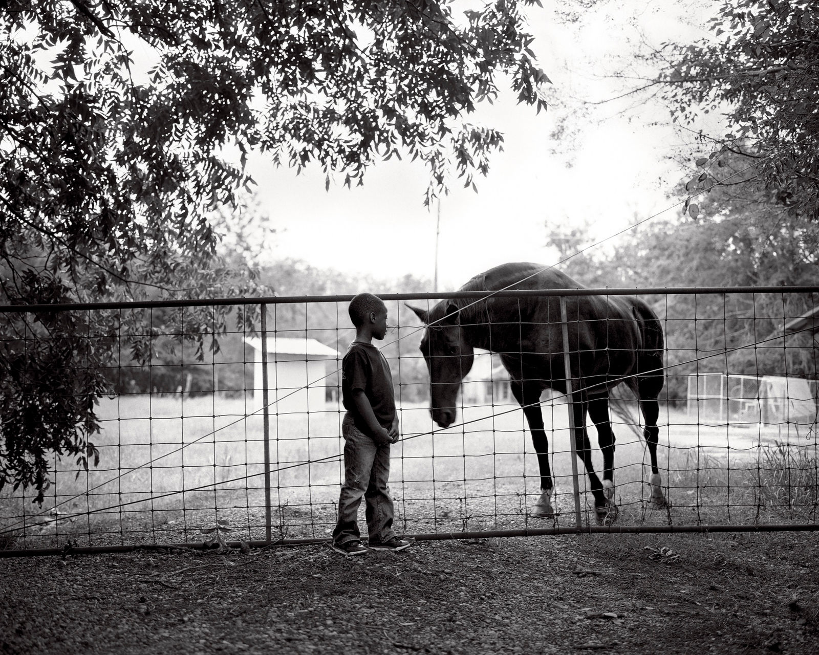 Isabelle Armand, Jeremy and horse at the plantation, 2013 - 2018