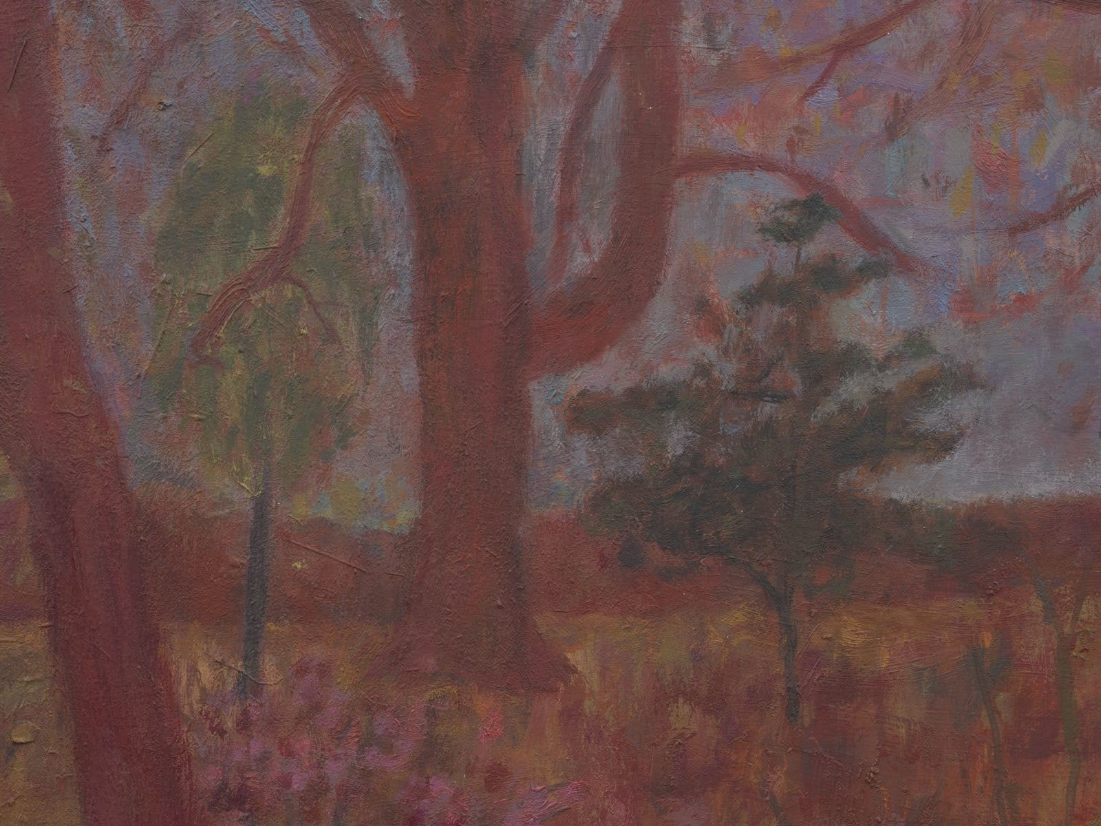 Shota Nakamura, Untitled, 2024