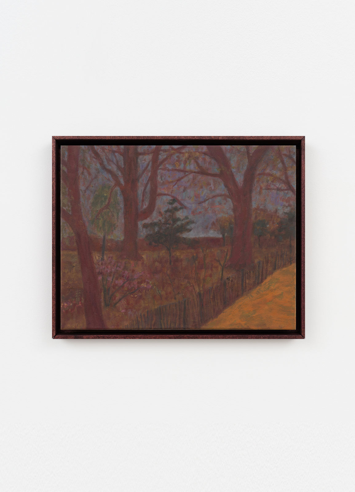 Shota Nakamura, Untitled, 2024