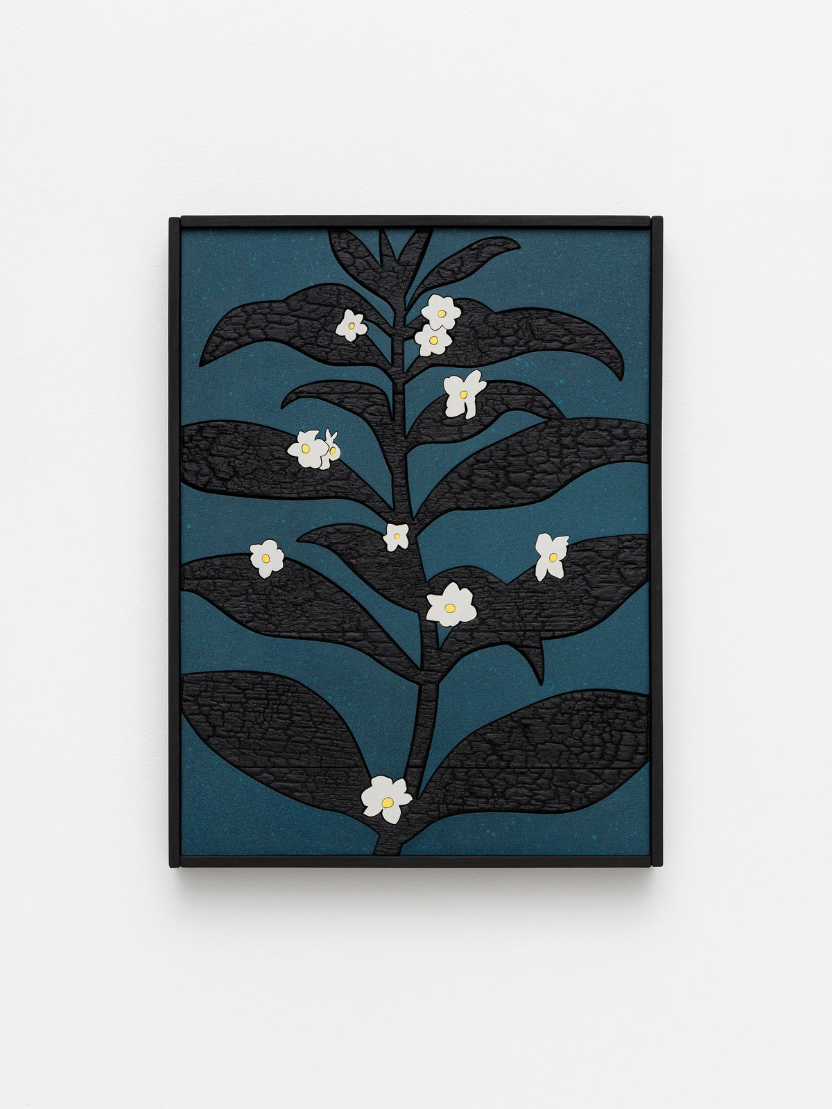 Laurent Pernot, Blooming from the dark, 2025