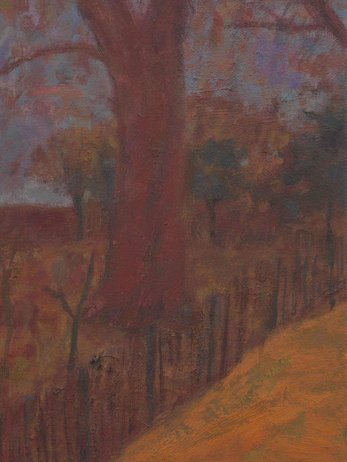 Shota Nakamura, Untitled, 2024