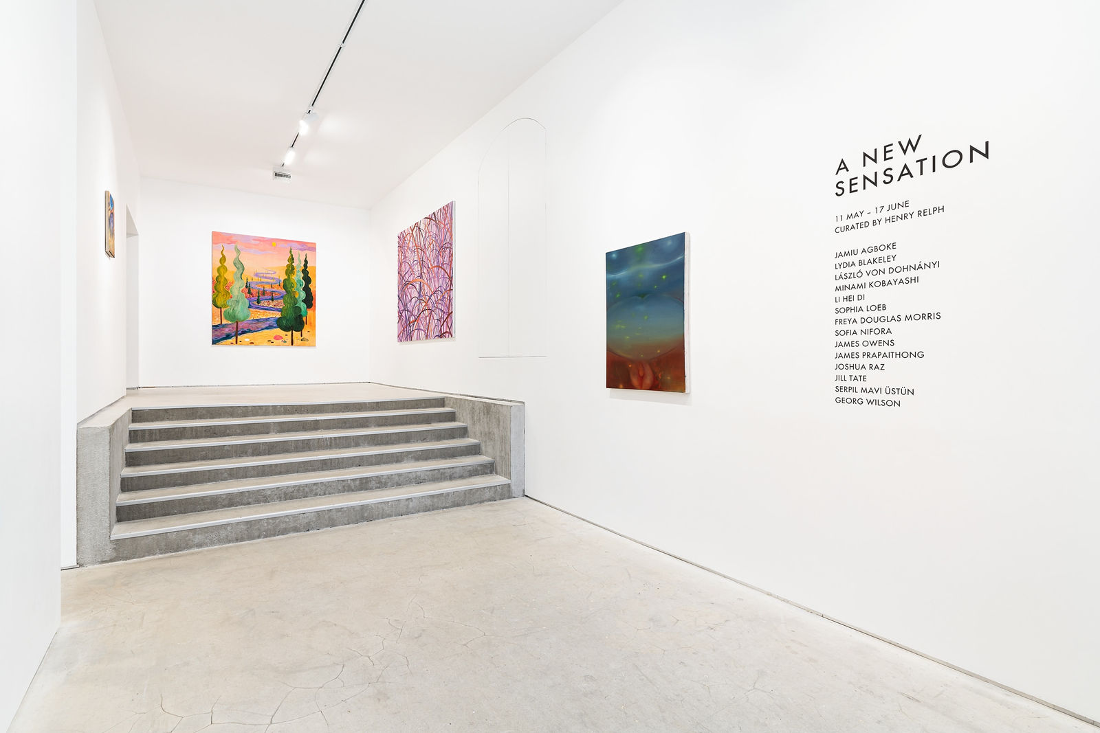 Freya Douglas Morris, When everything is summer, 2023