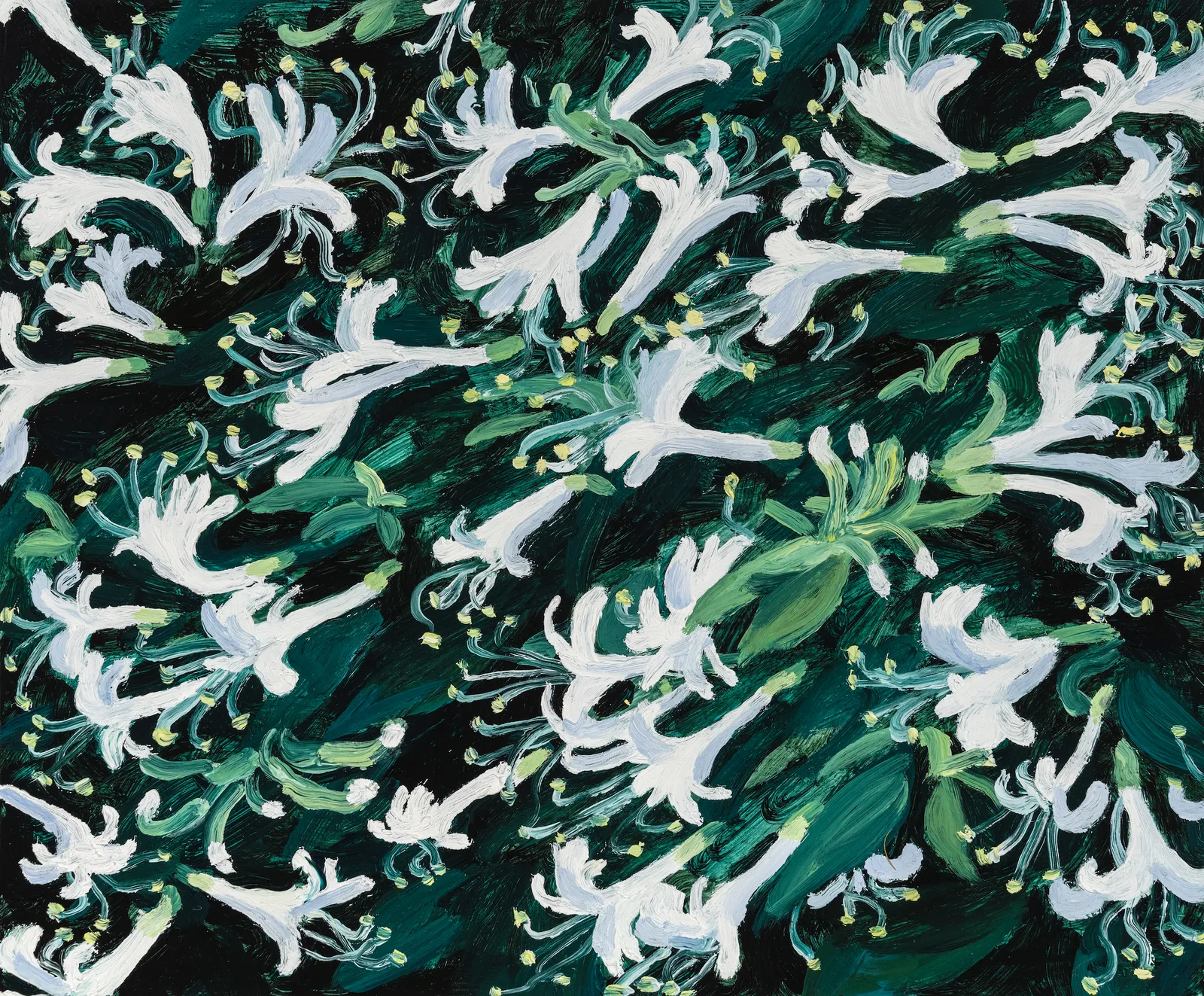 Claudia Keep, Honeysuckle, 2024