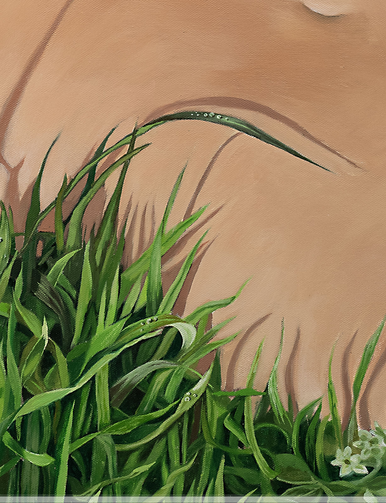 Fawn Rogers, Claudia, 2023