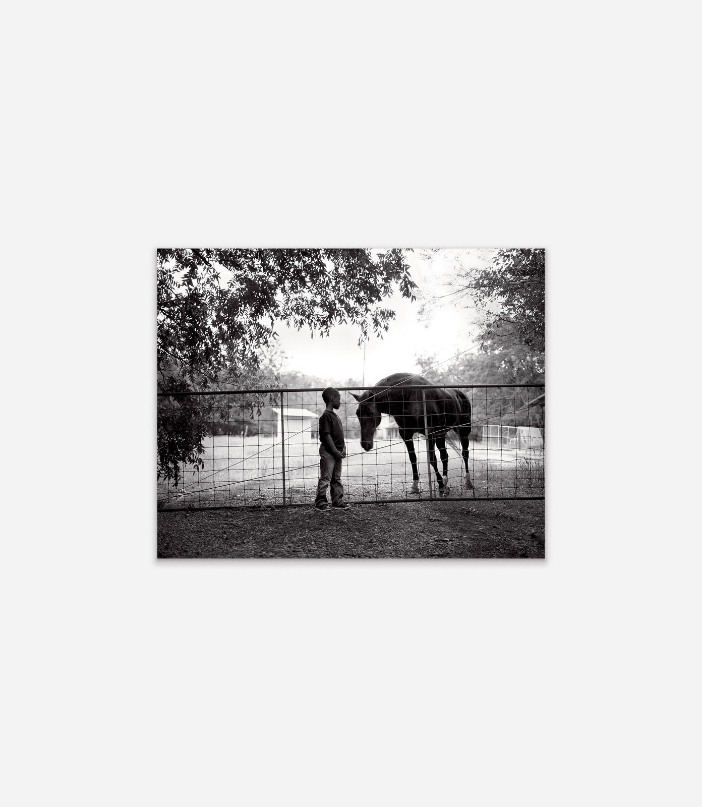 Isabelle Armand, Jeremy and horse at the plantation, 2013 - 2018