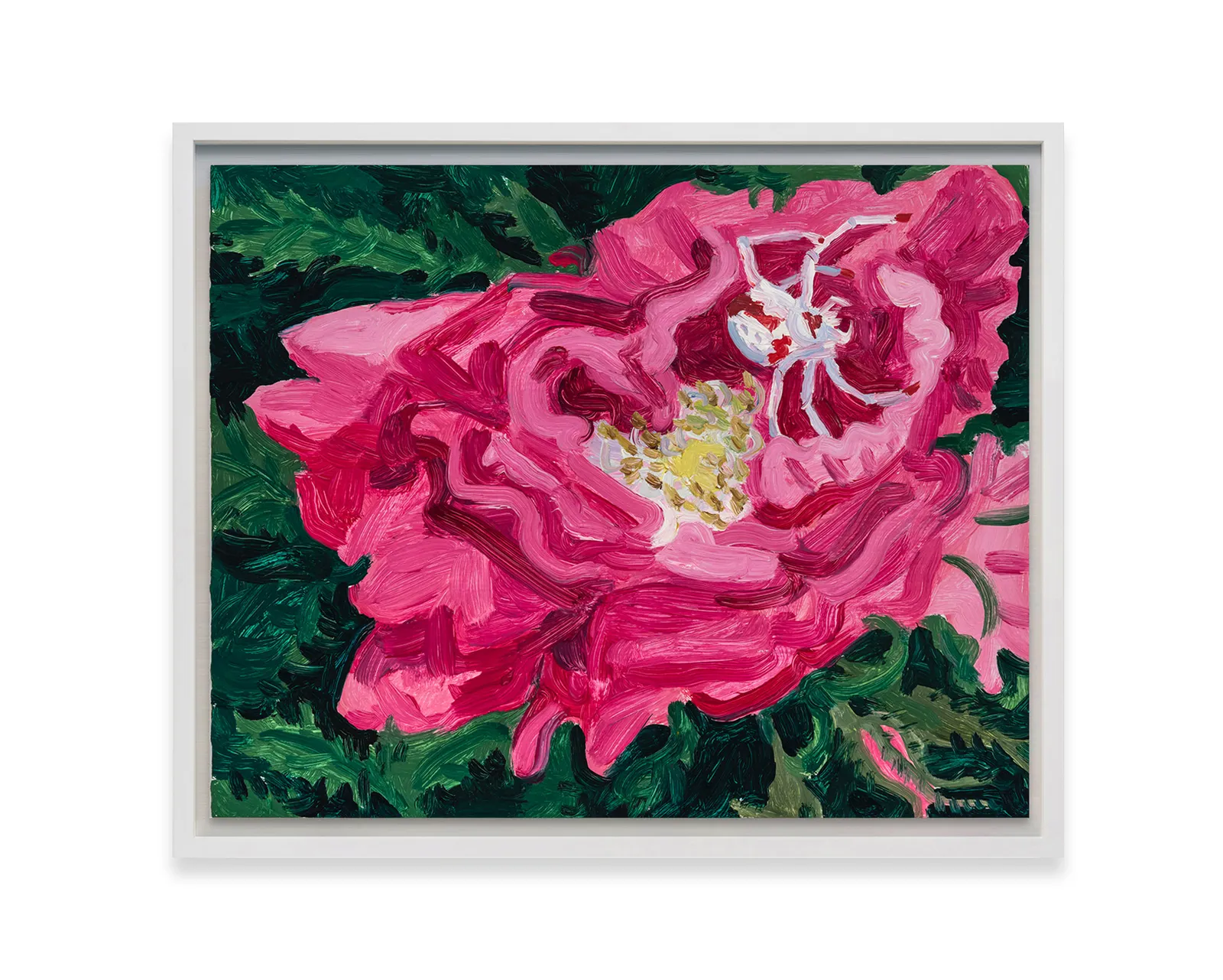 Claudia Keep, Rose With Crab Spider, 2024
