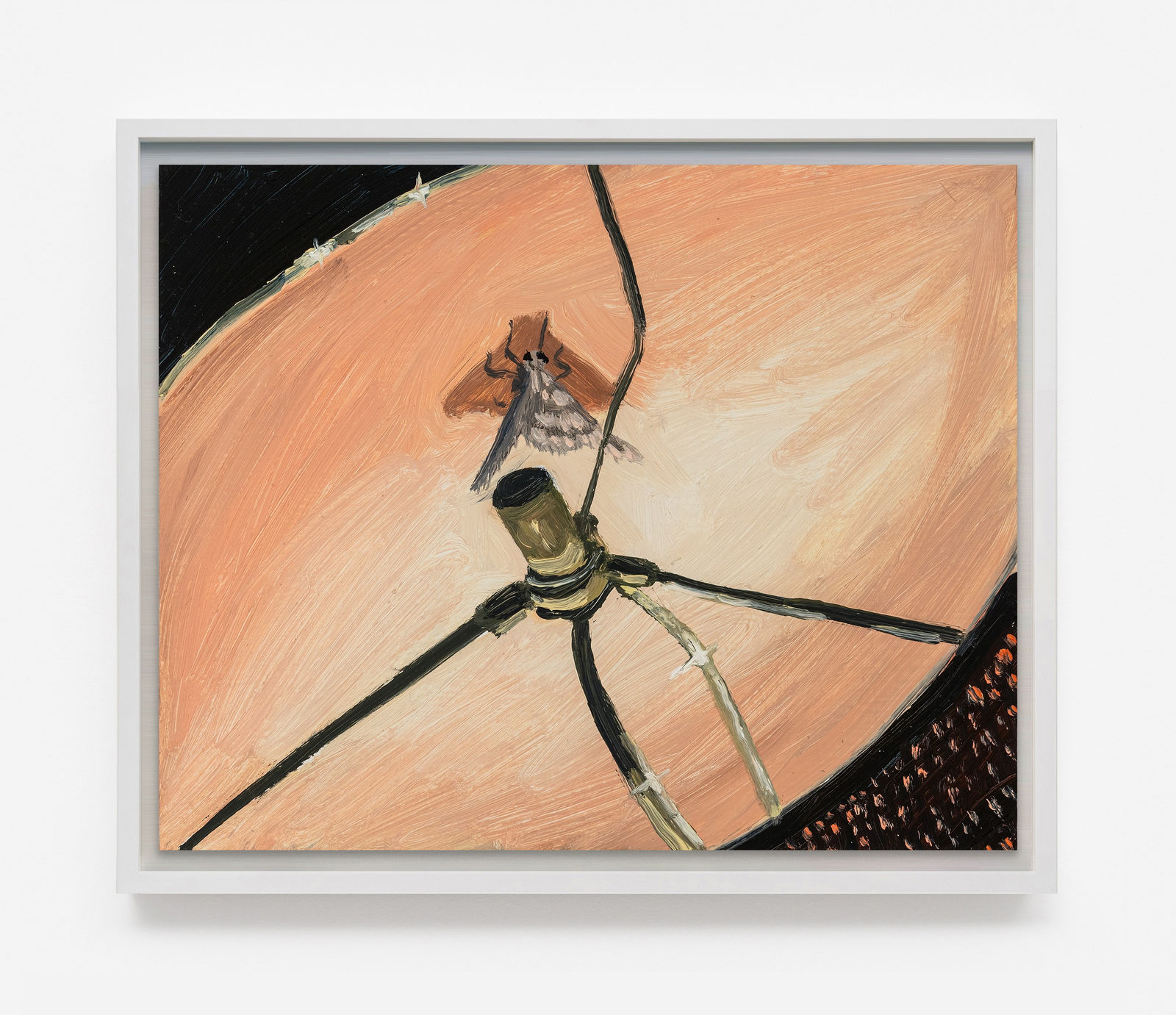 Claudia Keep, August 23rd, 11:31 PM, Dependable Rather Than Predictable, 2024